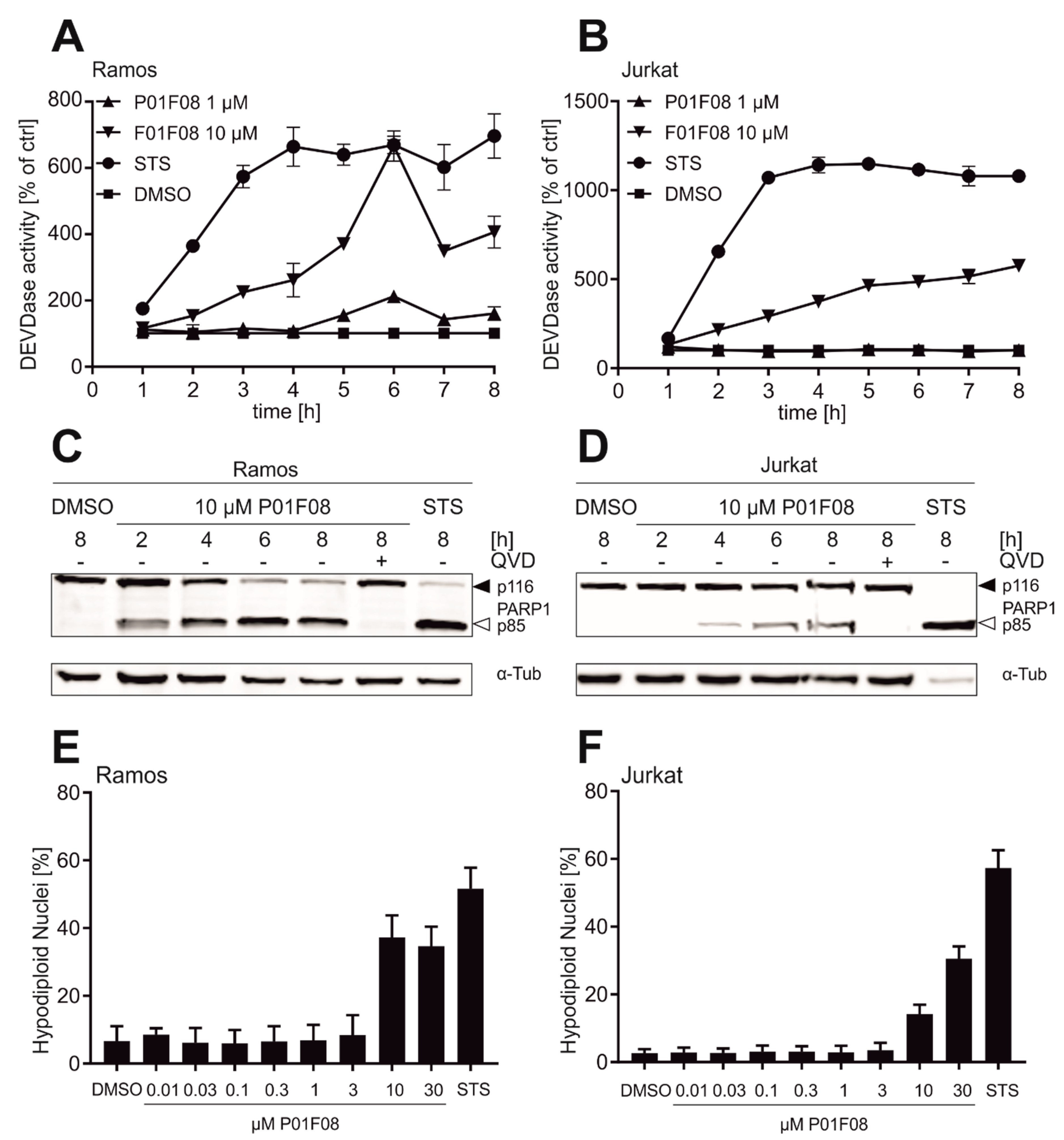 Molecules 26 00995 g008