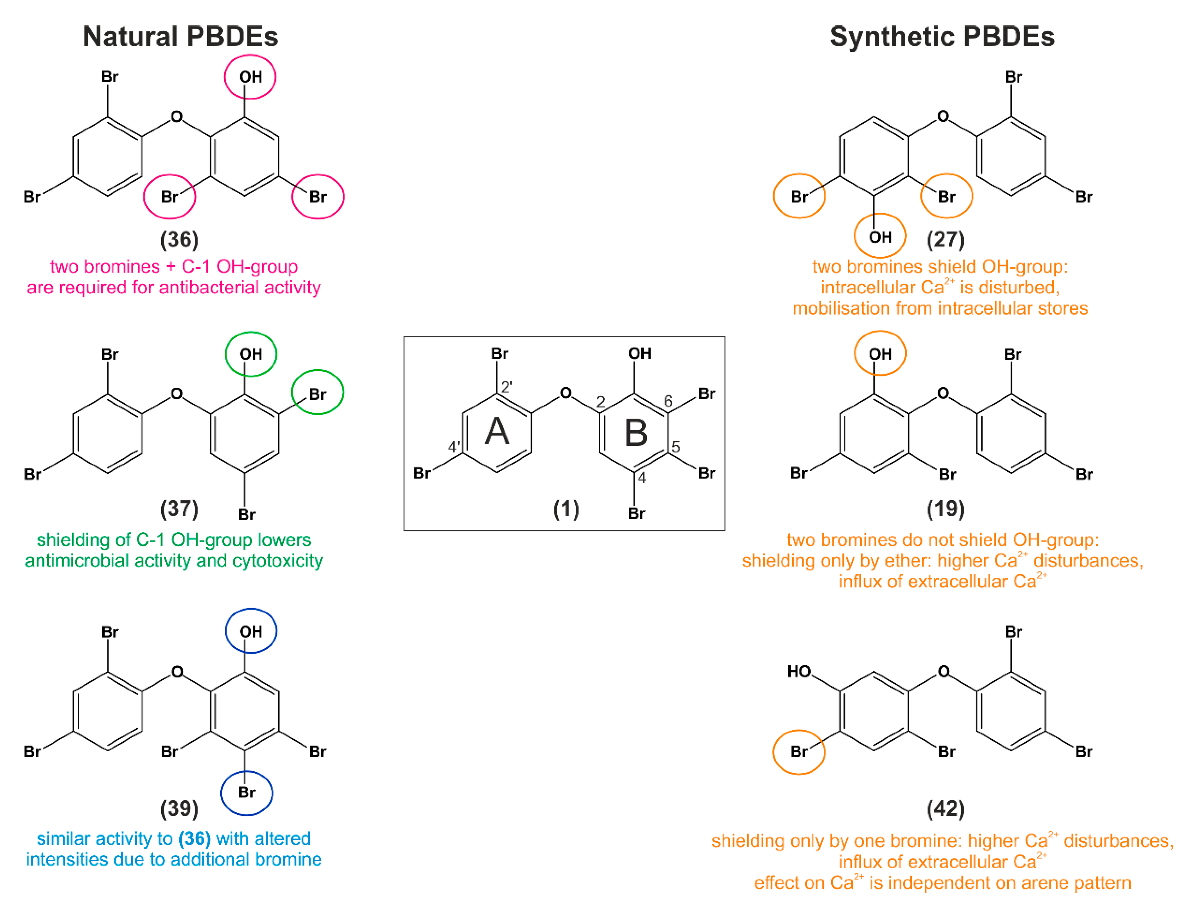 Molecules 26 00995 g010