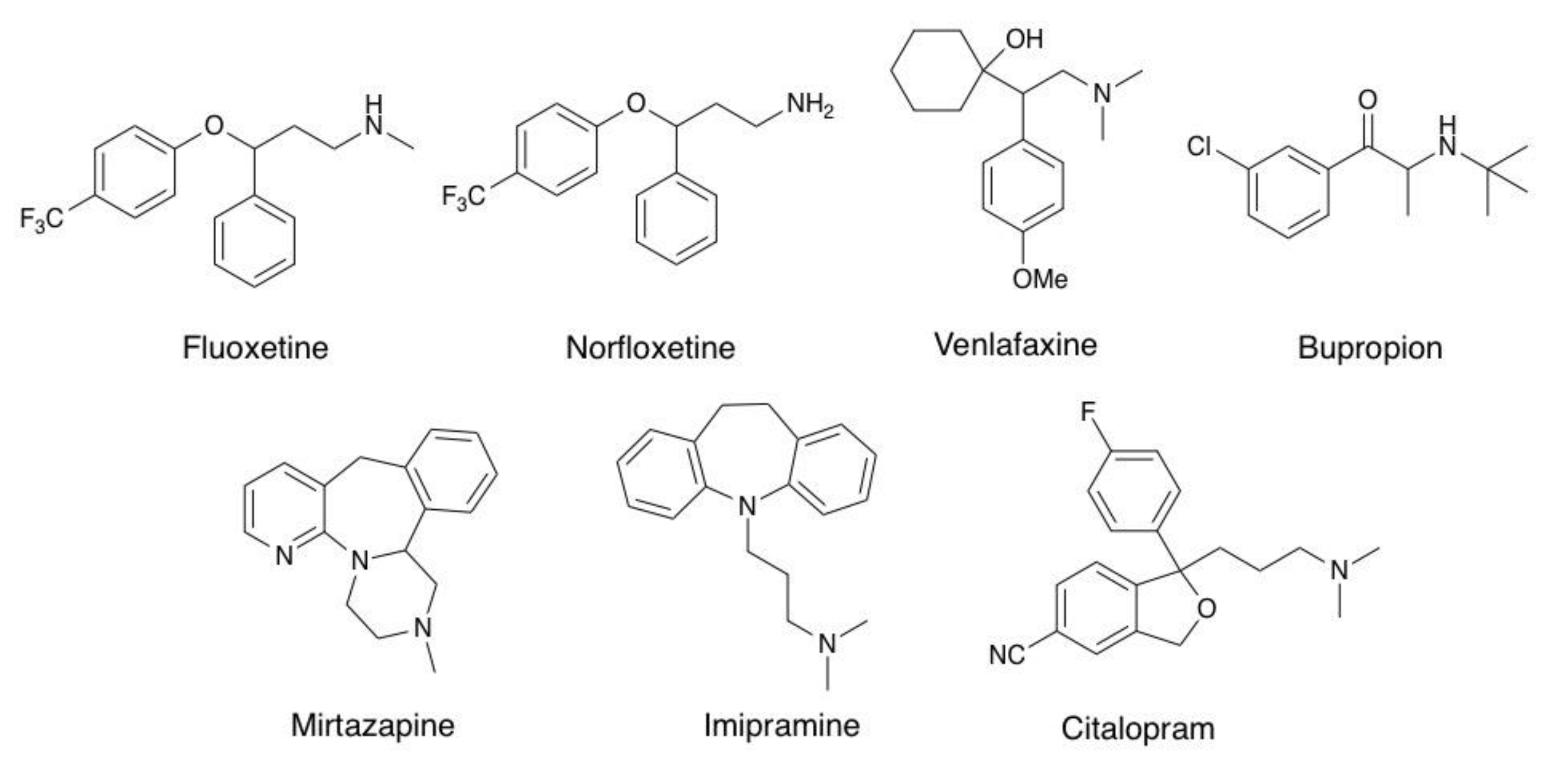 Molecules 26 00998 g001