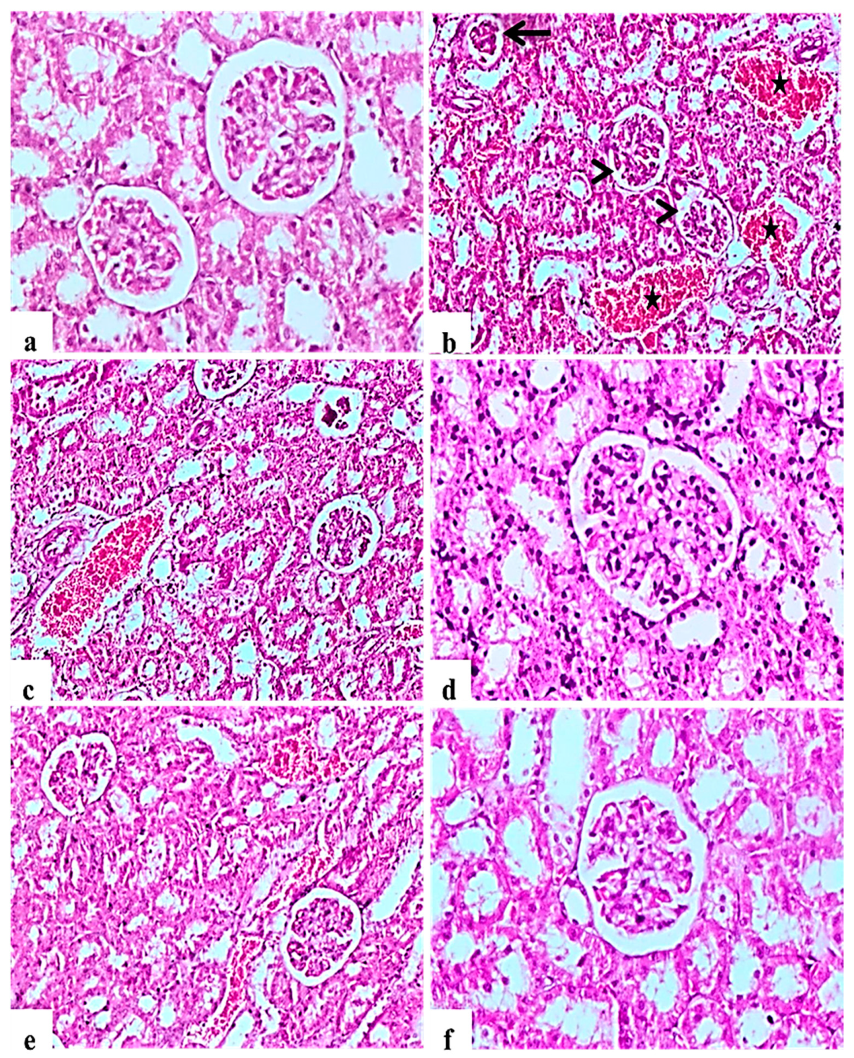 Molecules 26 01000 g003 Molecules 26 01000 g003