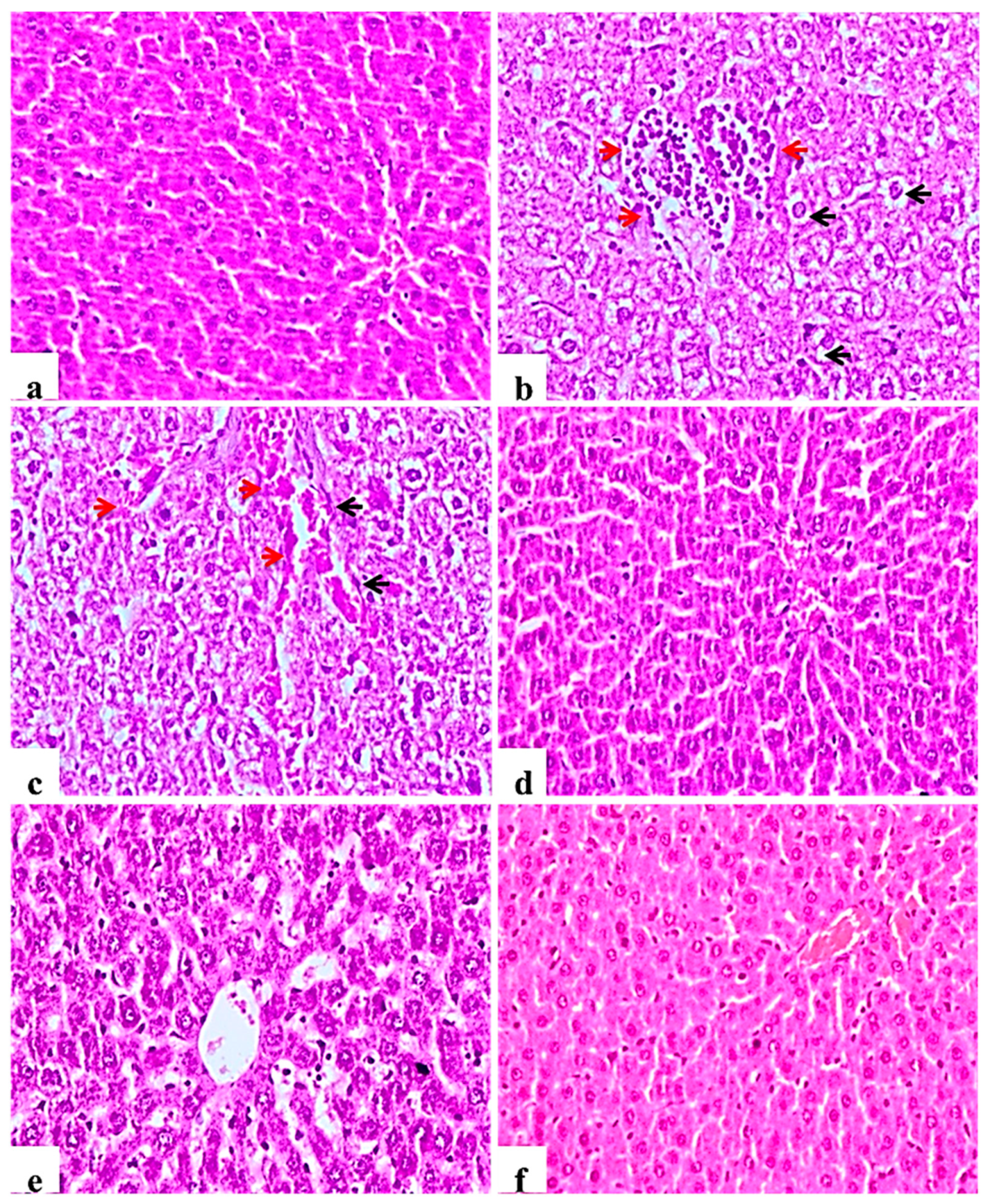 Molecules 26 01000 g004 Molecules 26 01000 g004