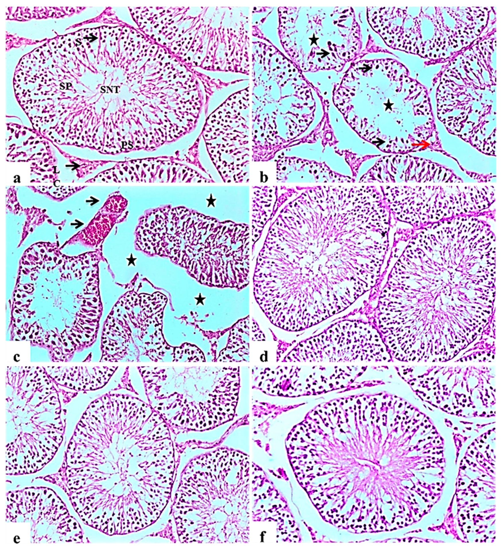 Molecules 26 01000 g005 Molecules 26 01000 g005