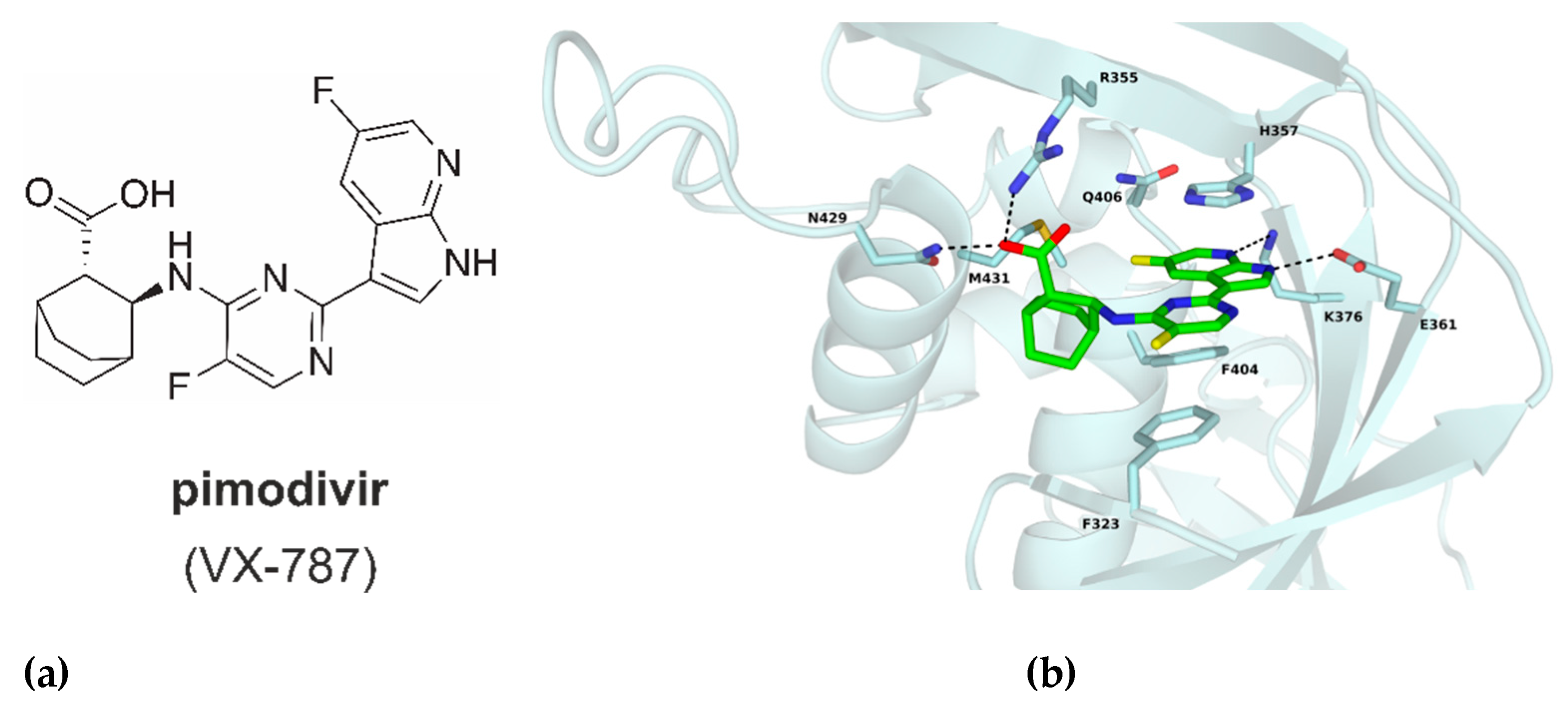 Molecules 26 01007 g002
