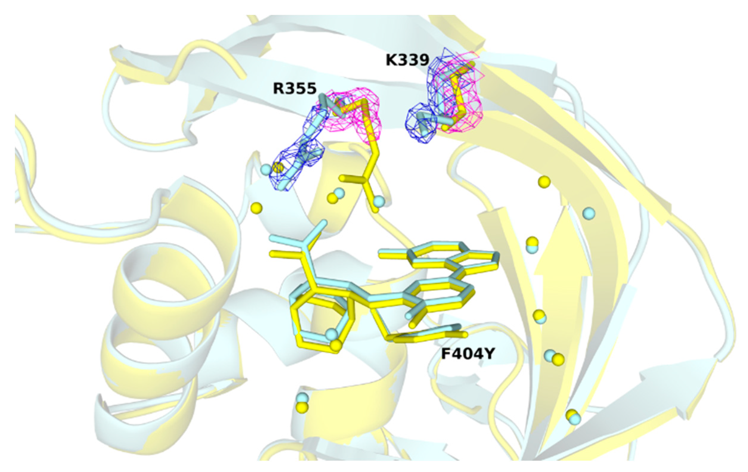 Molecules 26 01007 g004