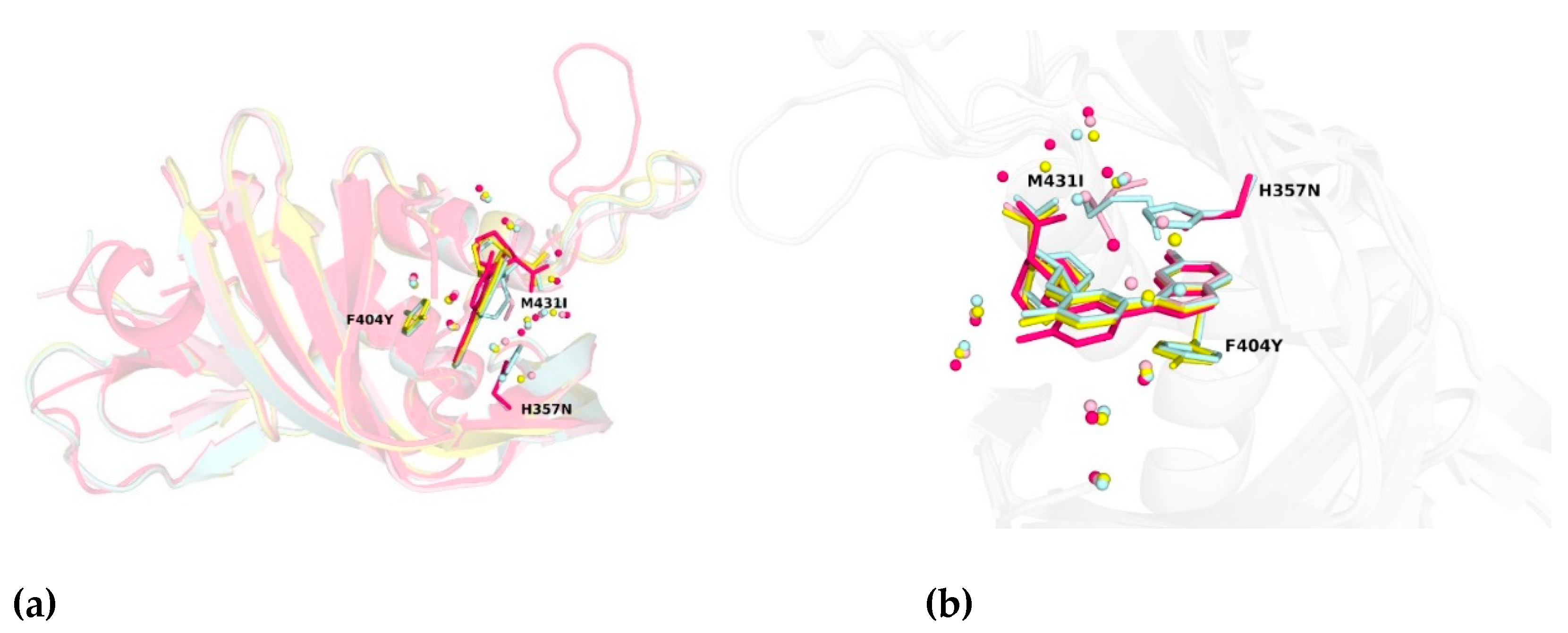 Molecules 26 01007 g005