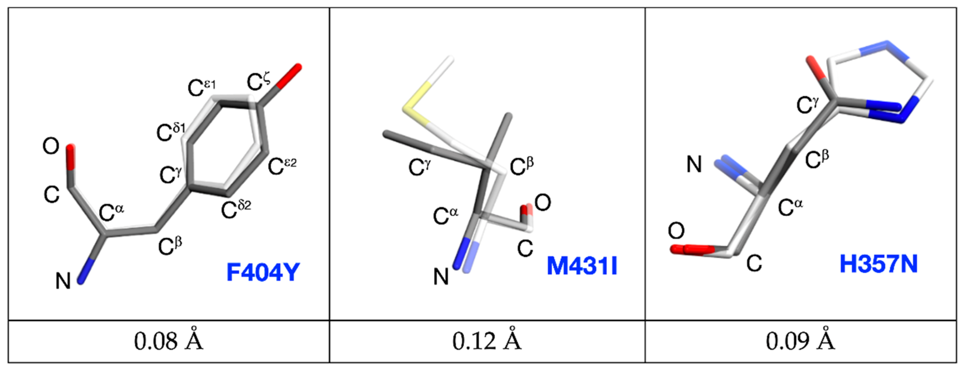 Molecules 26 01007 g006