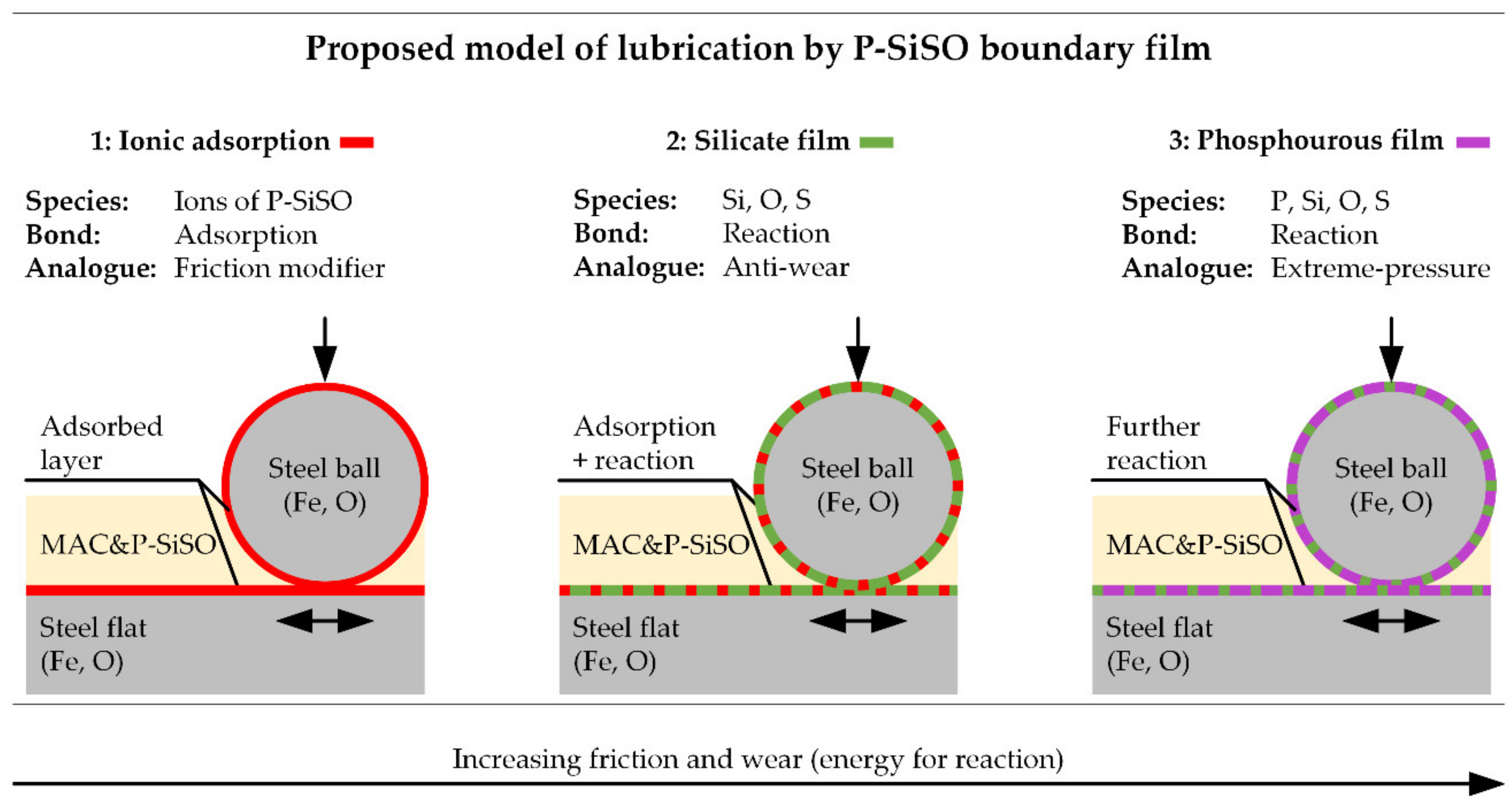 Molecules 26 01013 g011 Molecules 26 01013 g011