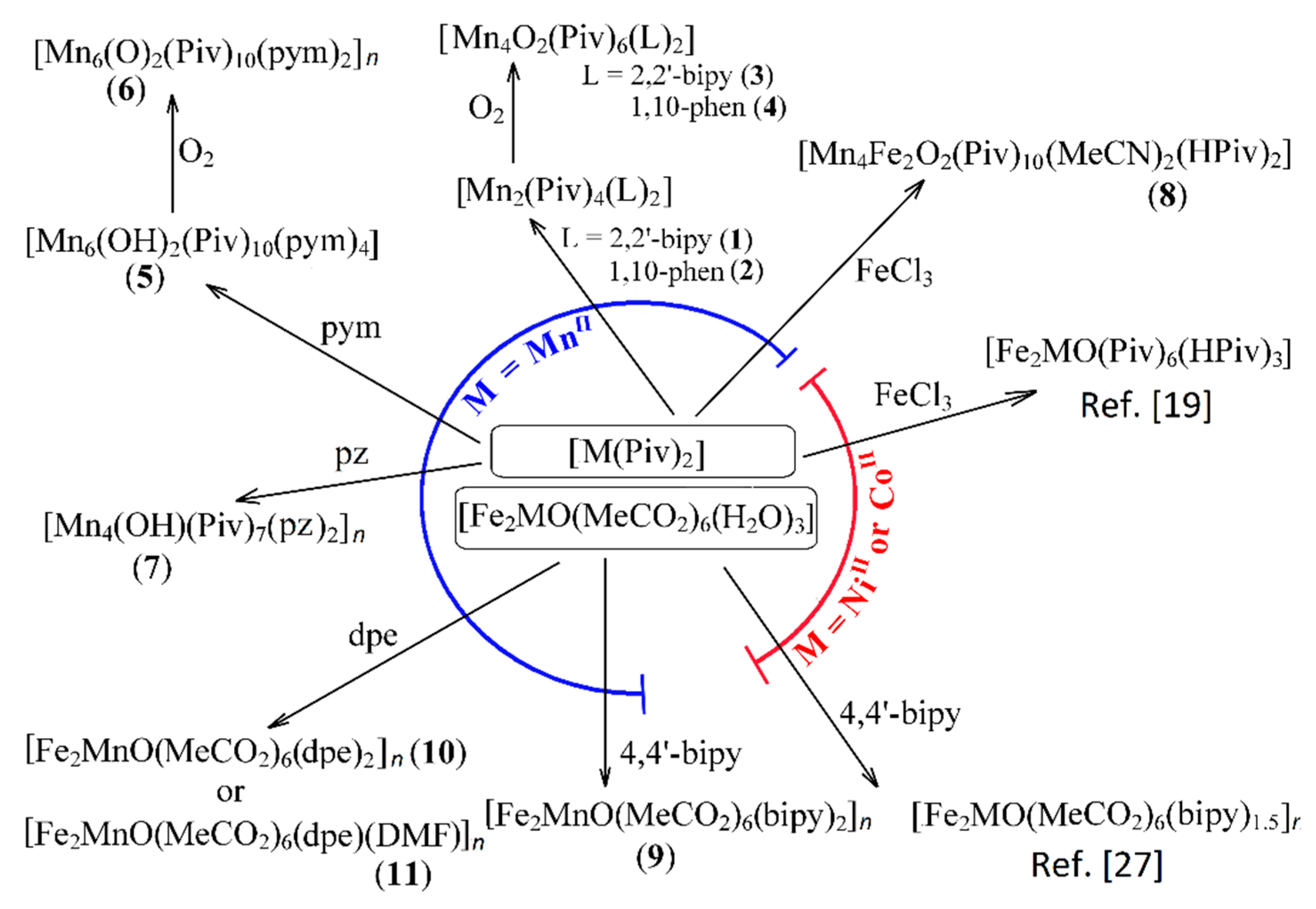 Molecules 26 01021 g001