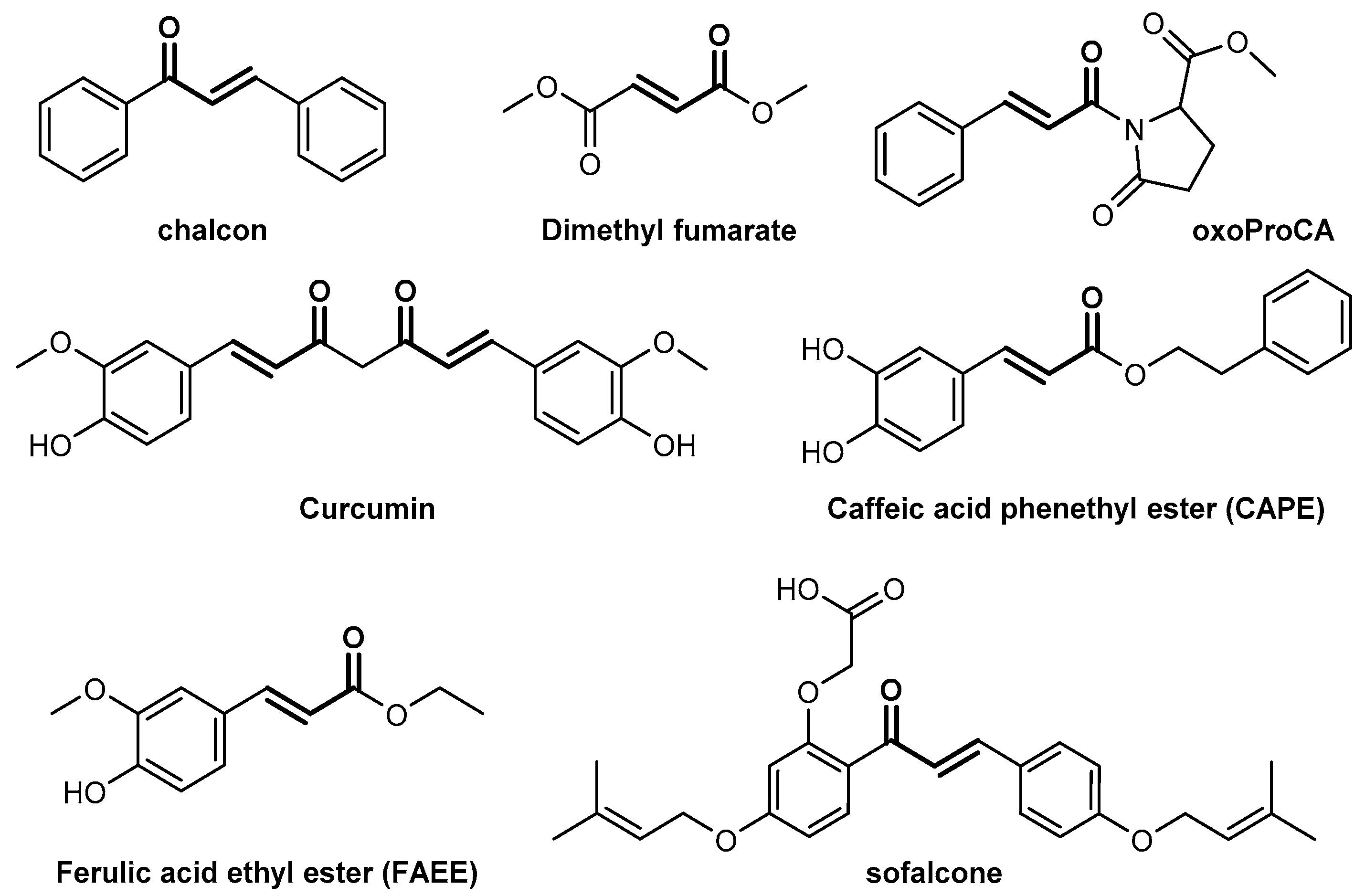 Molecules 26 01027 g001
