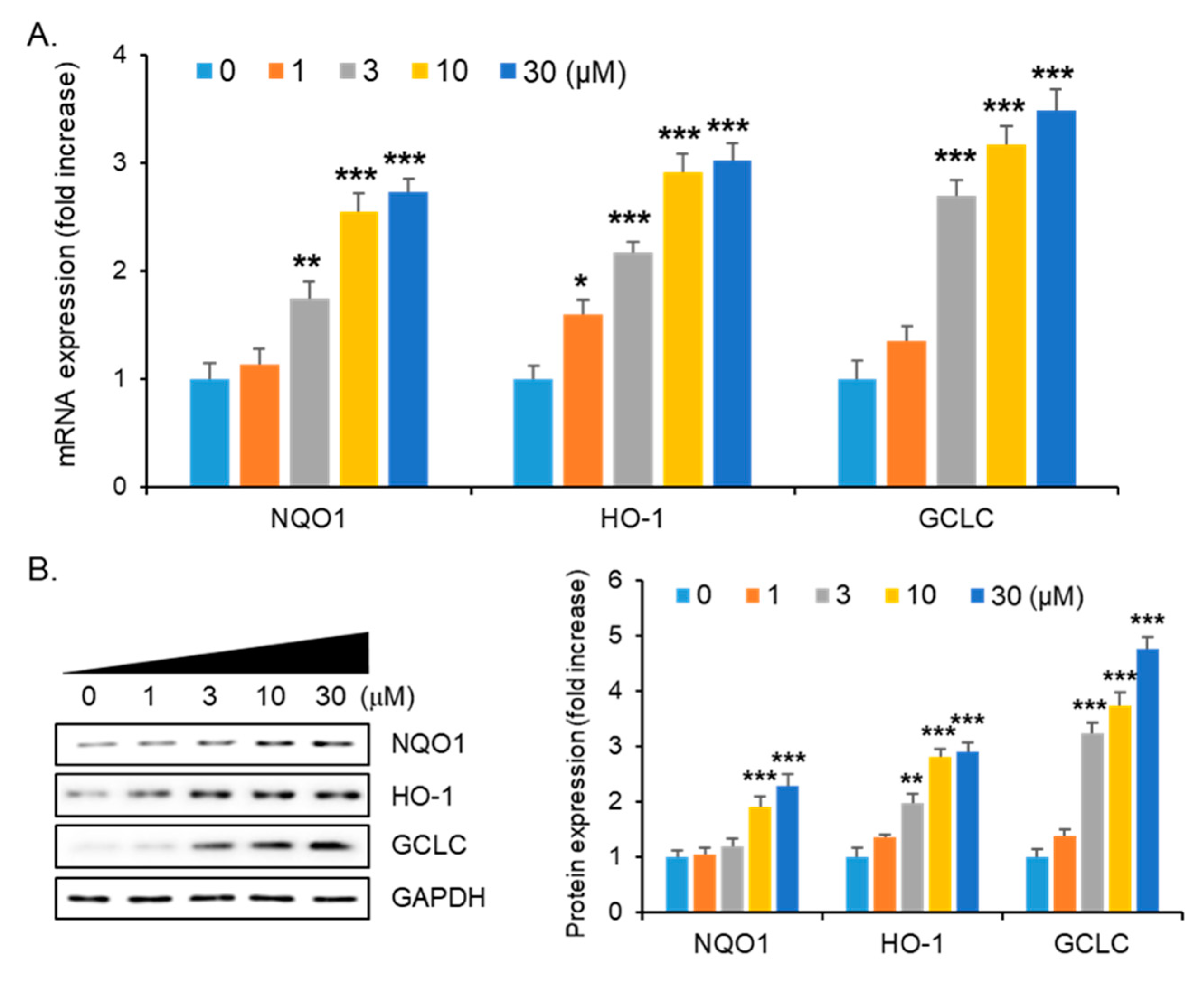 Molecules 26 01027 g005