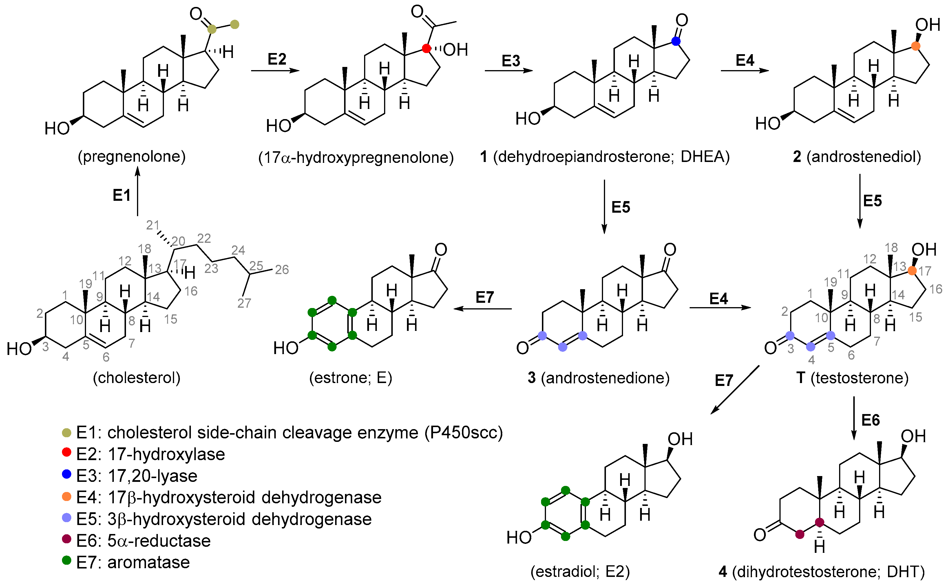 Molecules 26 01032 g001