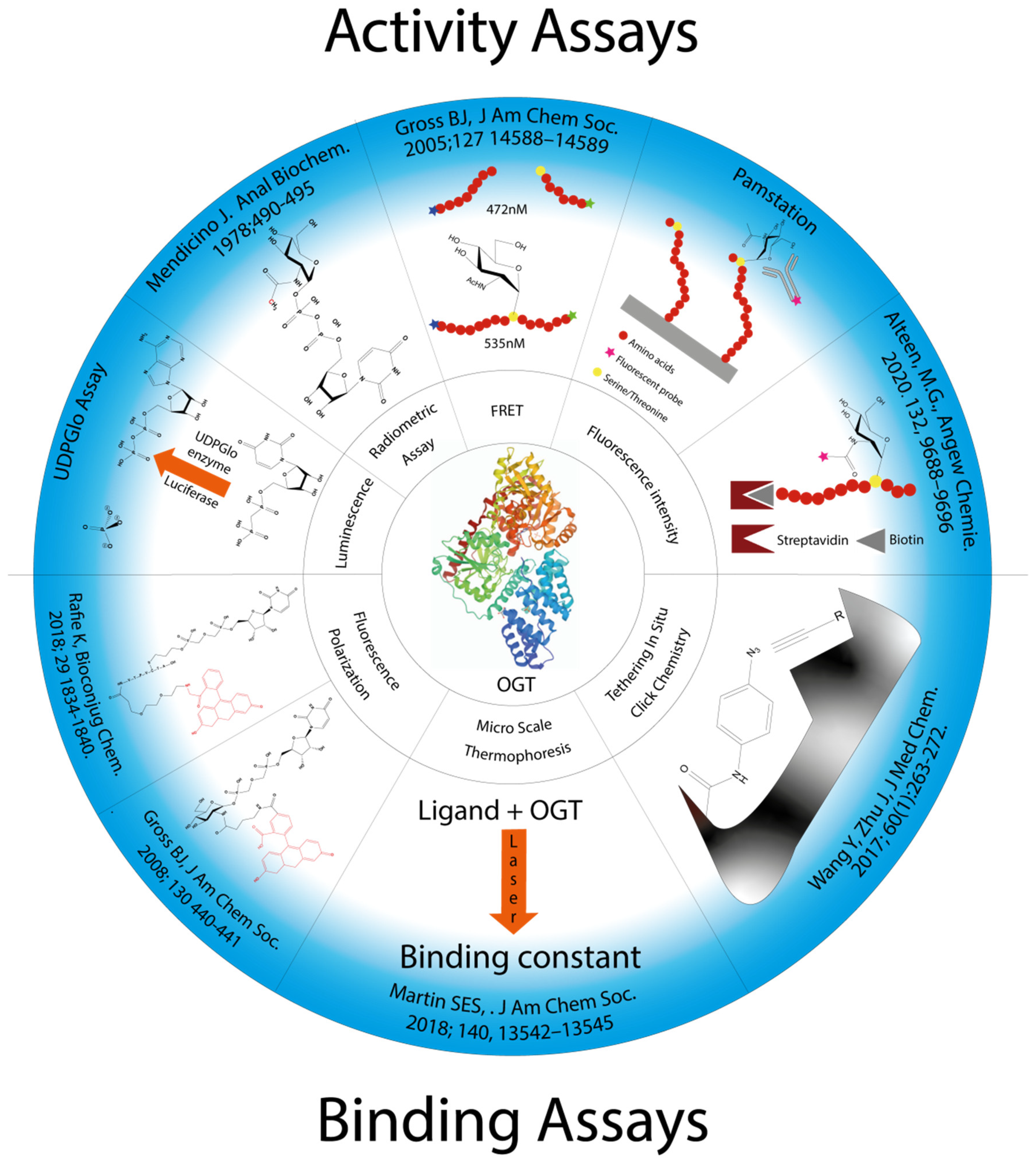 Molecules 26 01037 g003