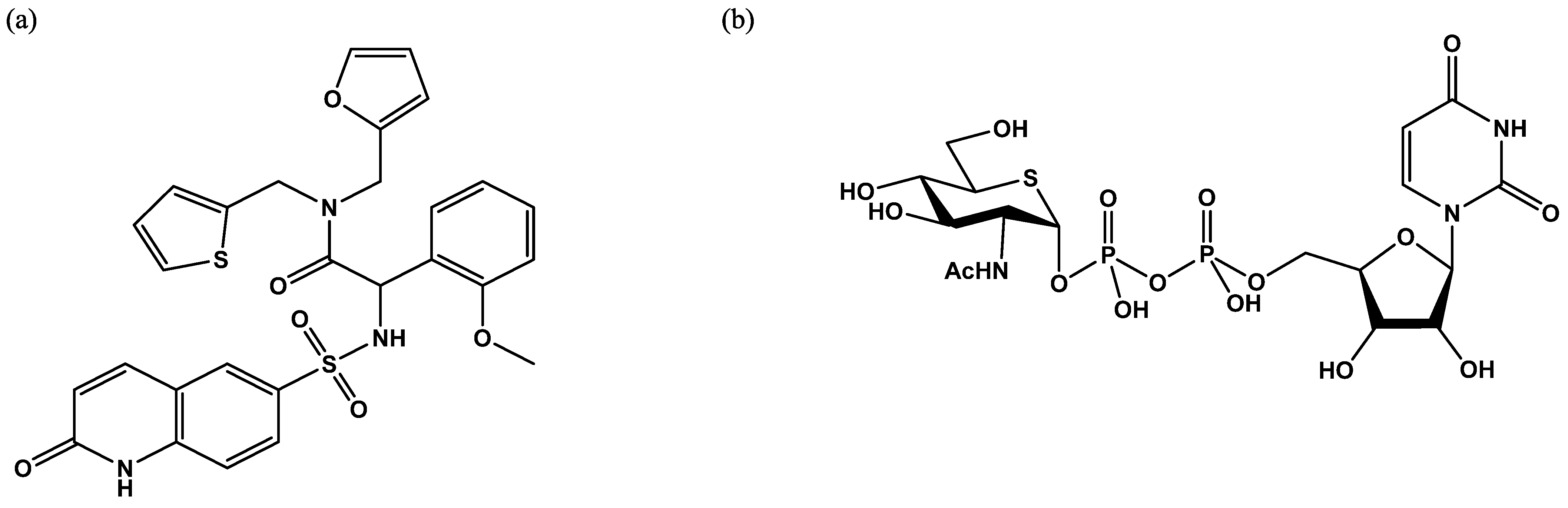 Molecules 26 01037 g006