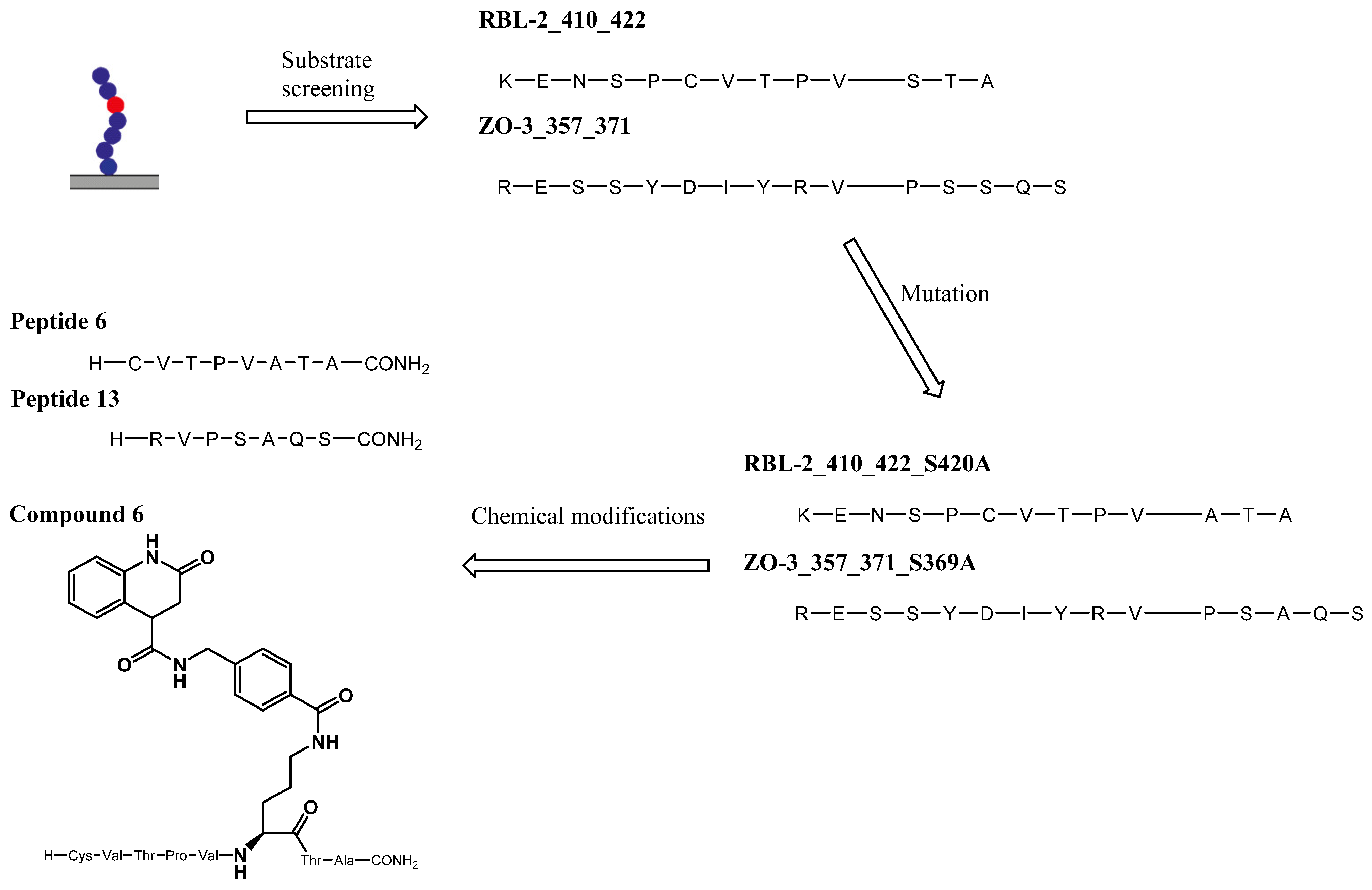 Molecules 26 01037 g010