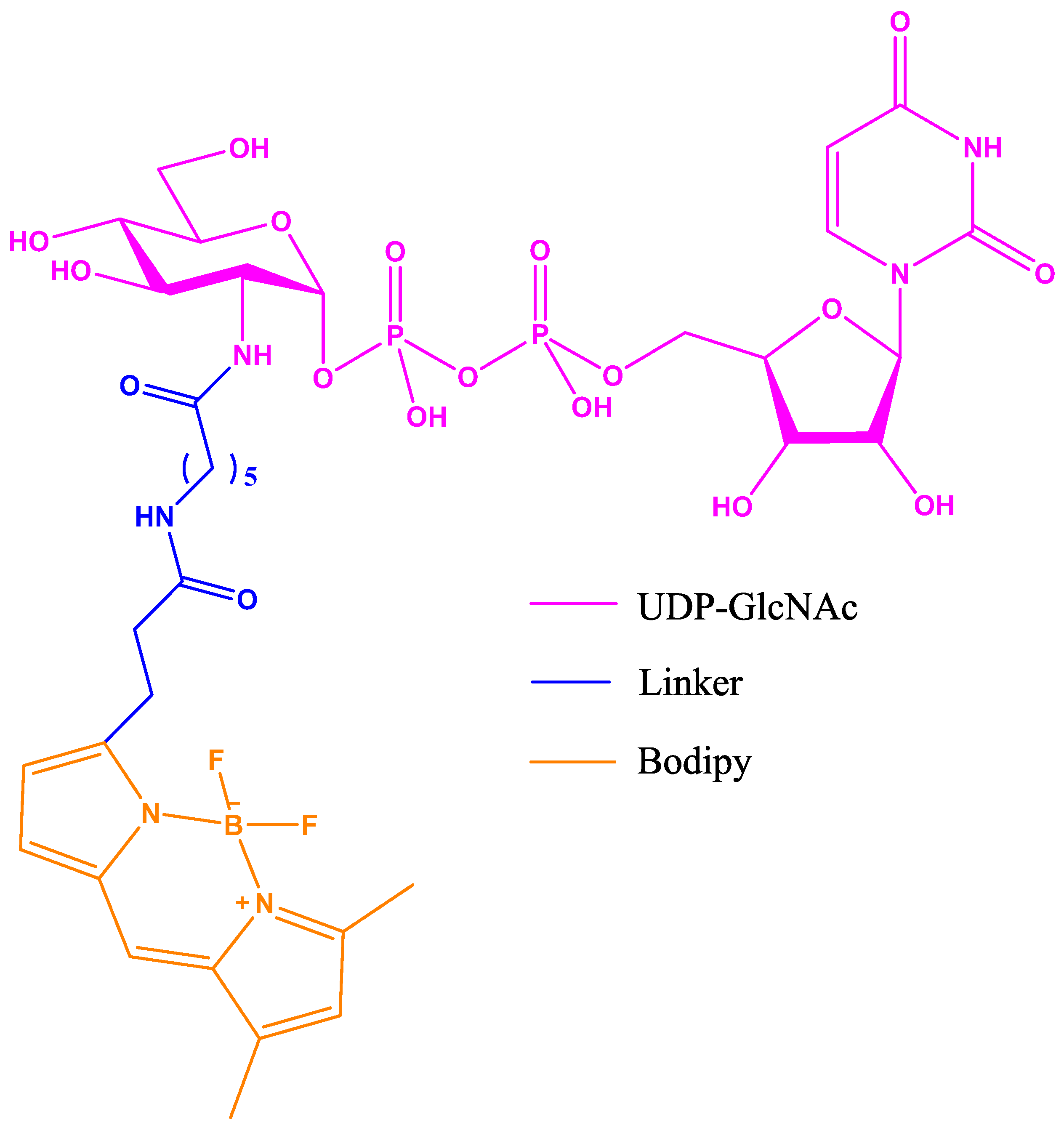 Molecules 26 01037 g011