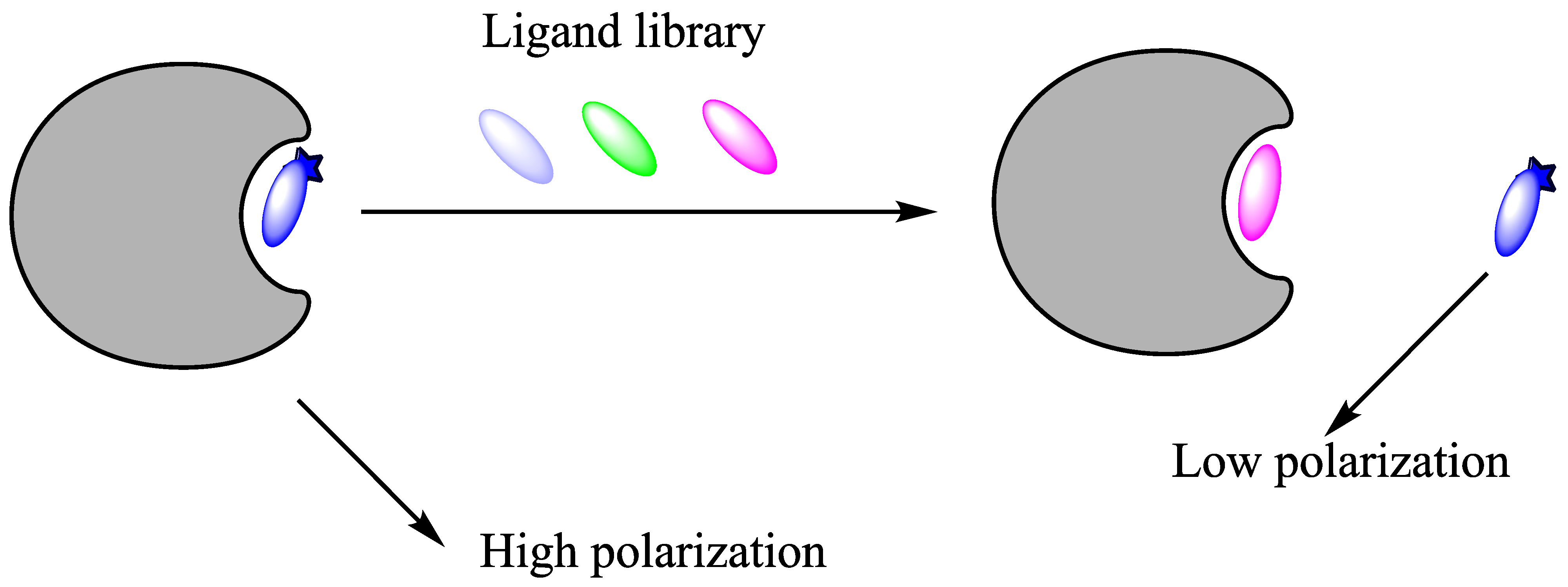 Molecules 26 01037 g014