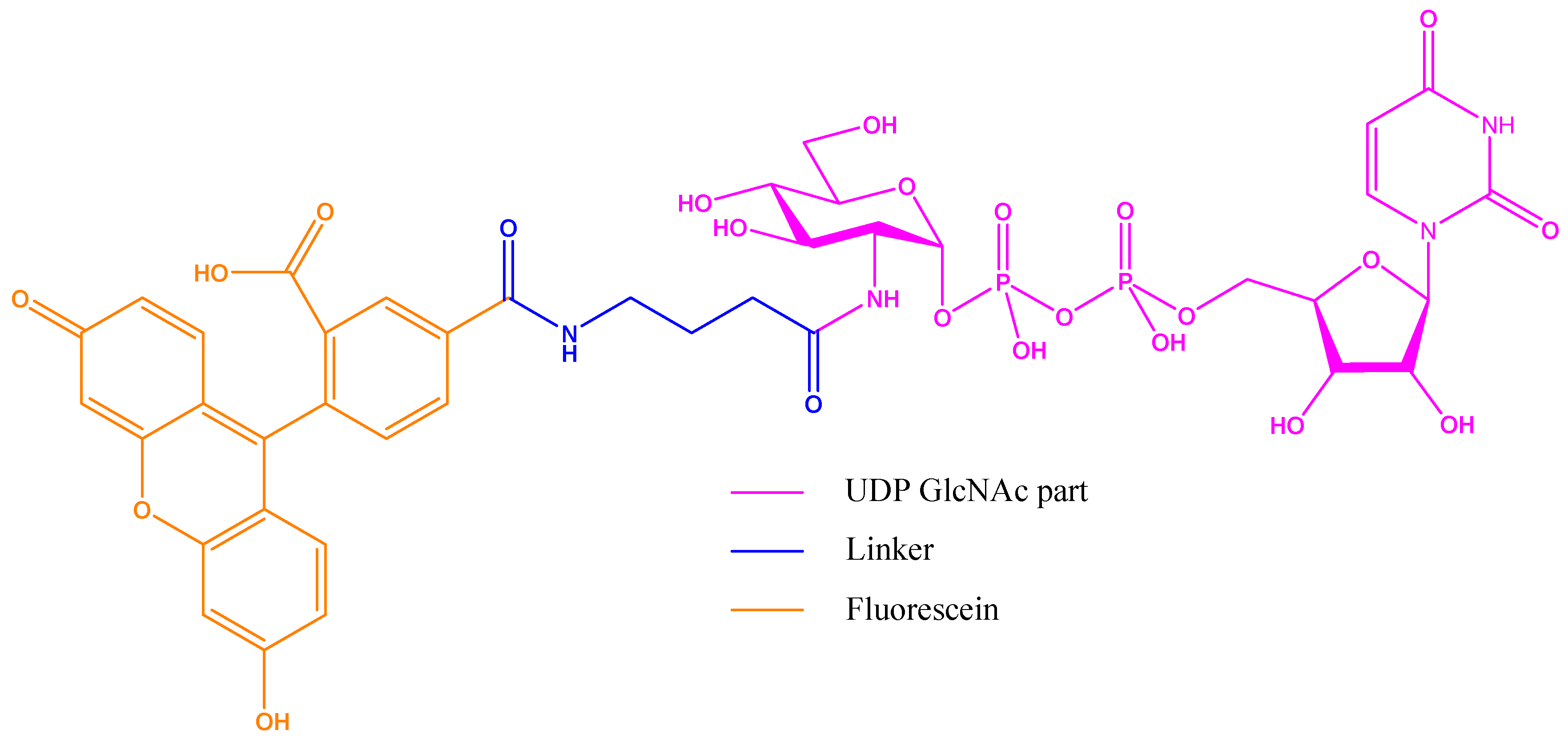 Molecules 26 01037 g015