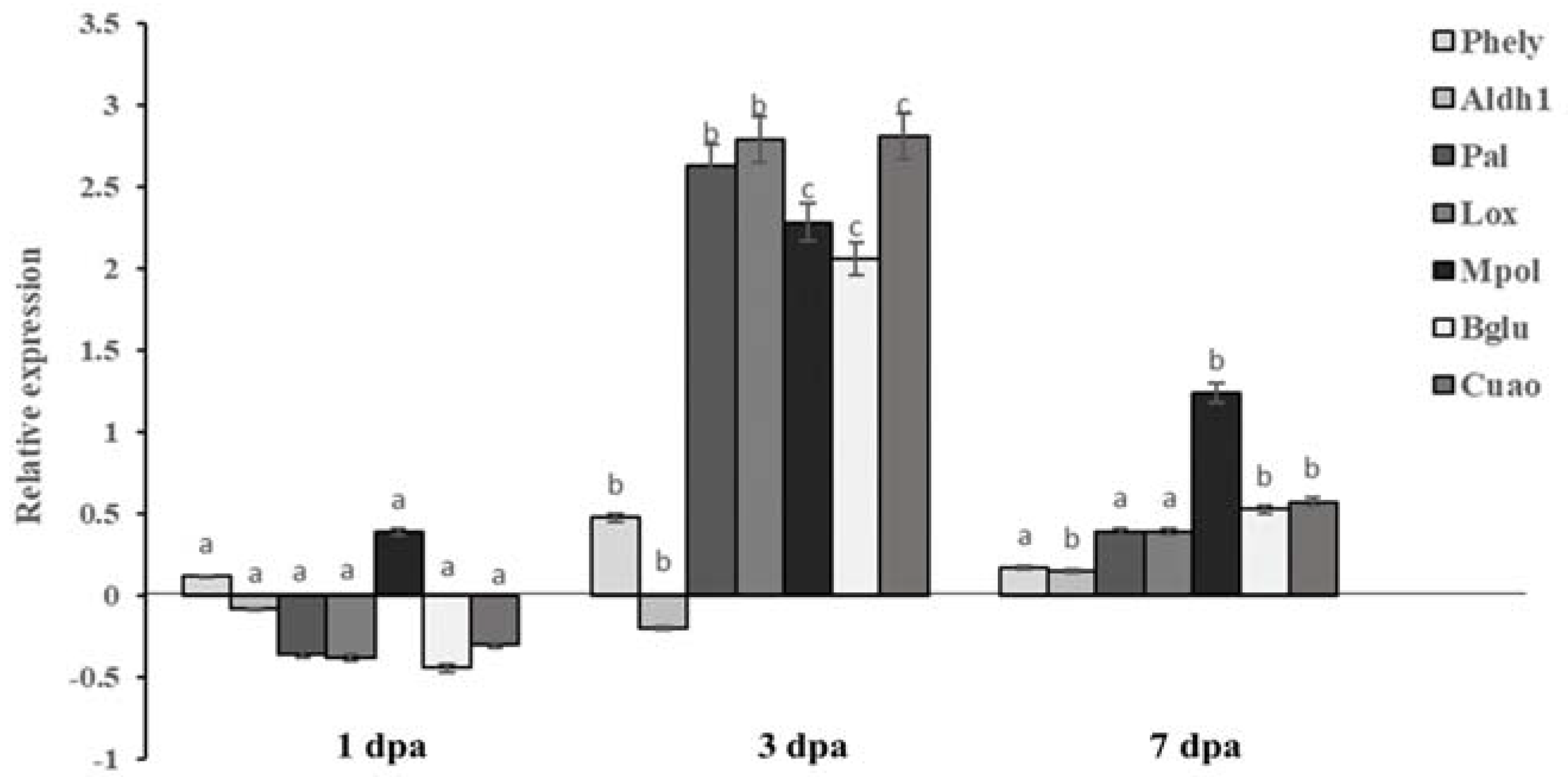 Molecules 26 01043 g003 Molecules 26 01043 g003
