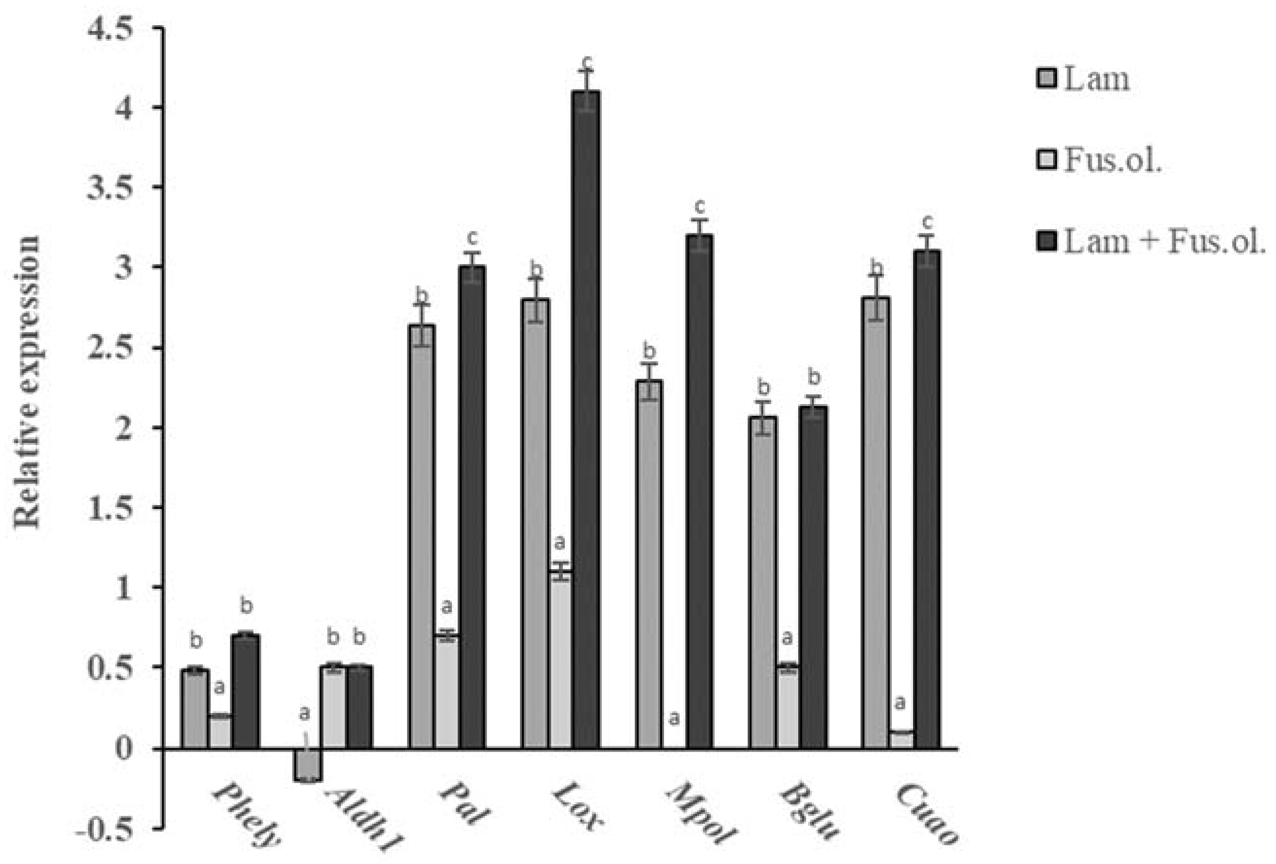 Molecules 26 01043 g004 Molecules 26 01043 g004