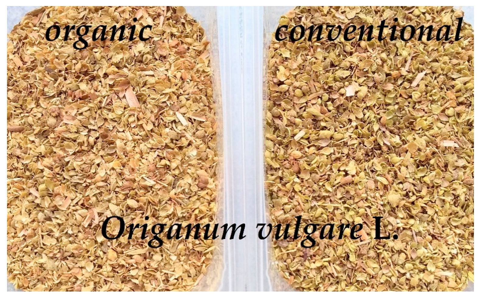 Molecules 26 01047 g001