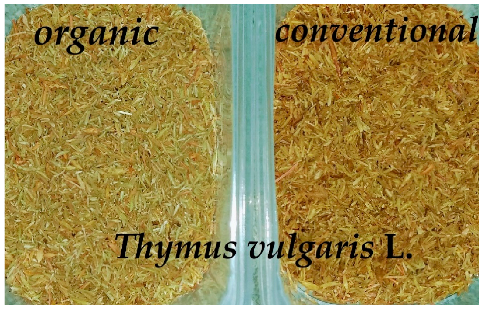 Molecules 26 01047 g002