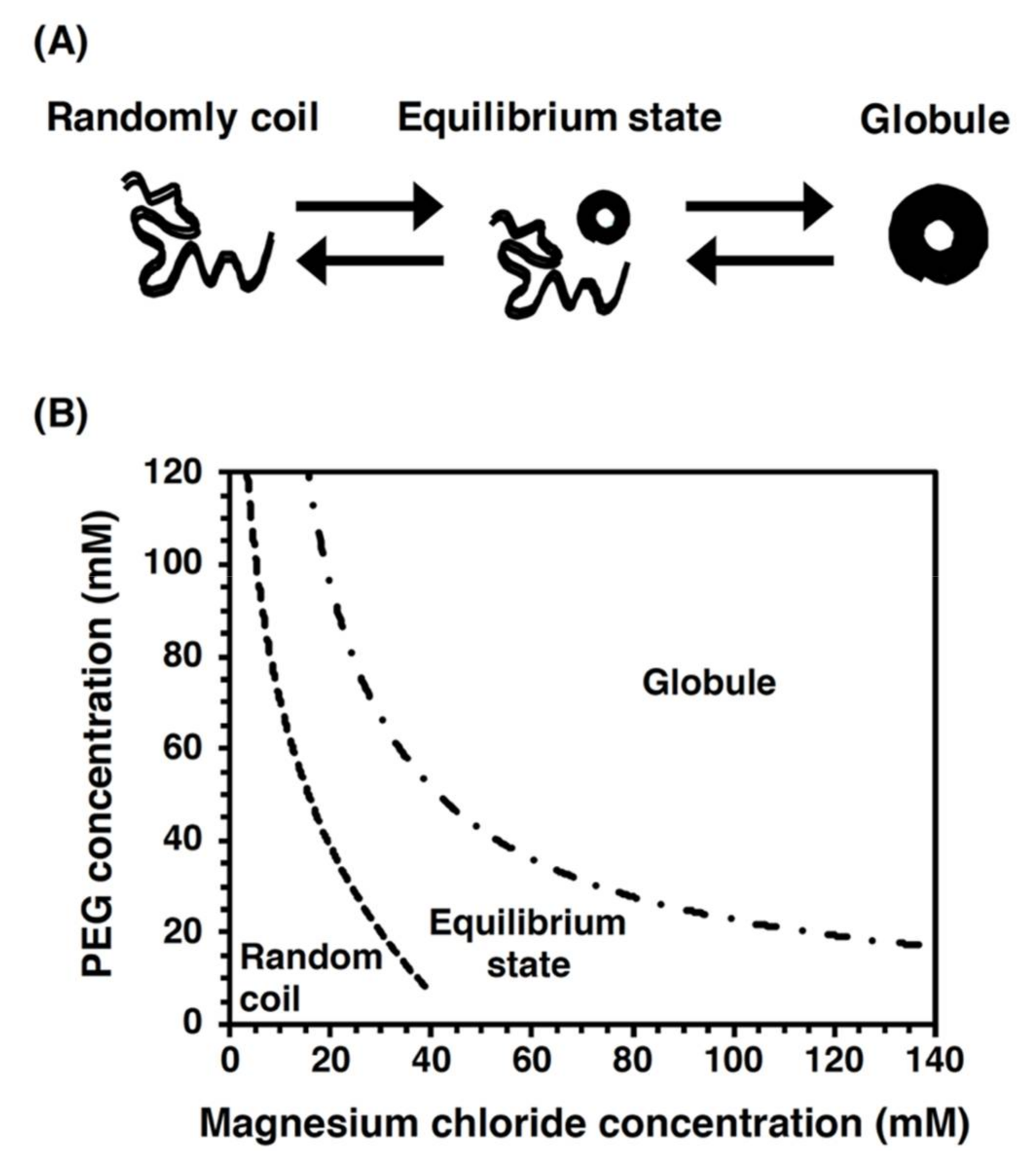 Molecules 26 01050 g001 Molecules 26 01050 g001
