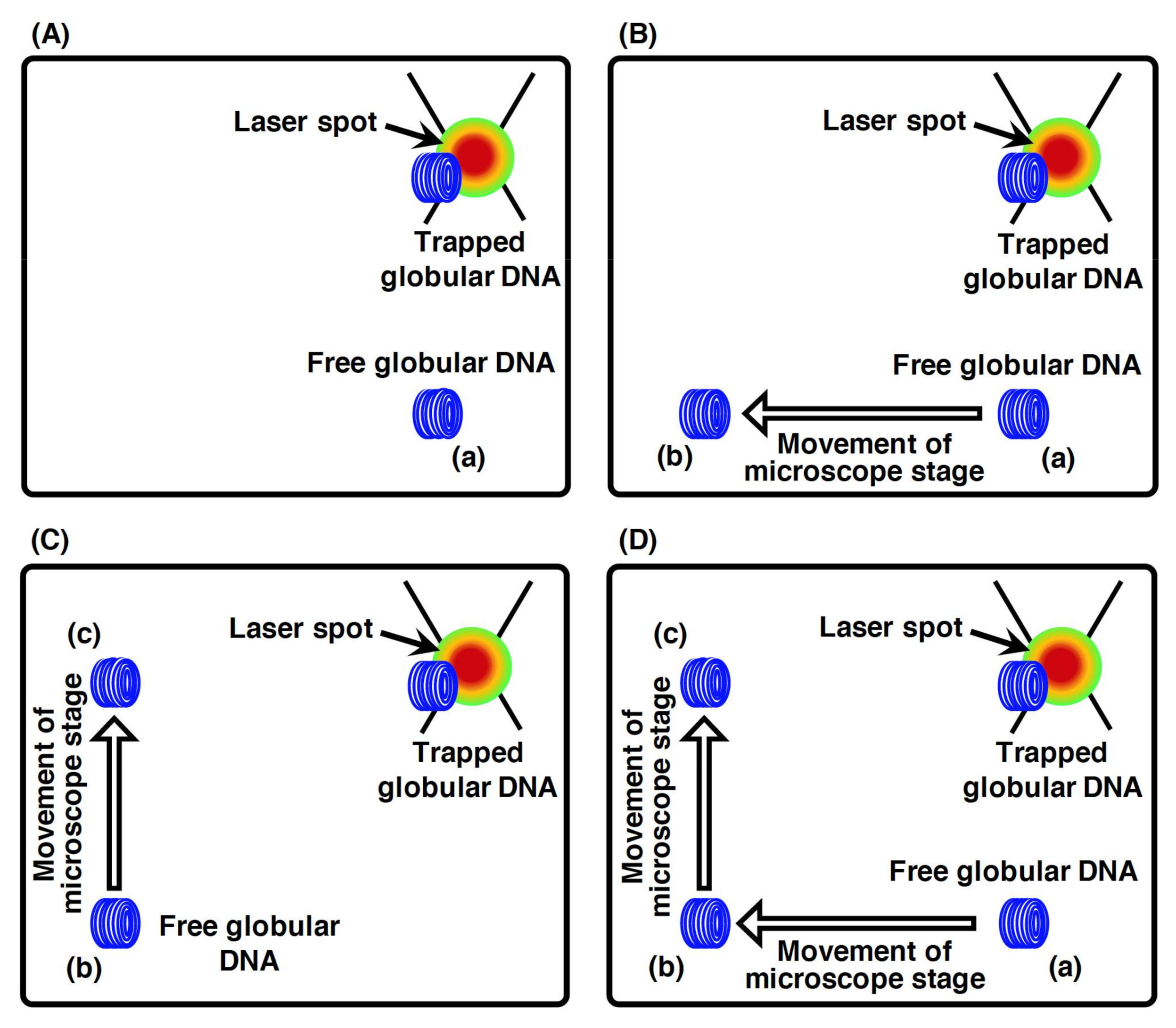 Molecules 26 01050 g004 Molecules 26 01050 g004