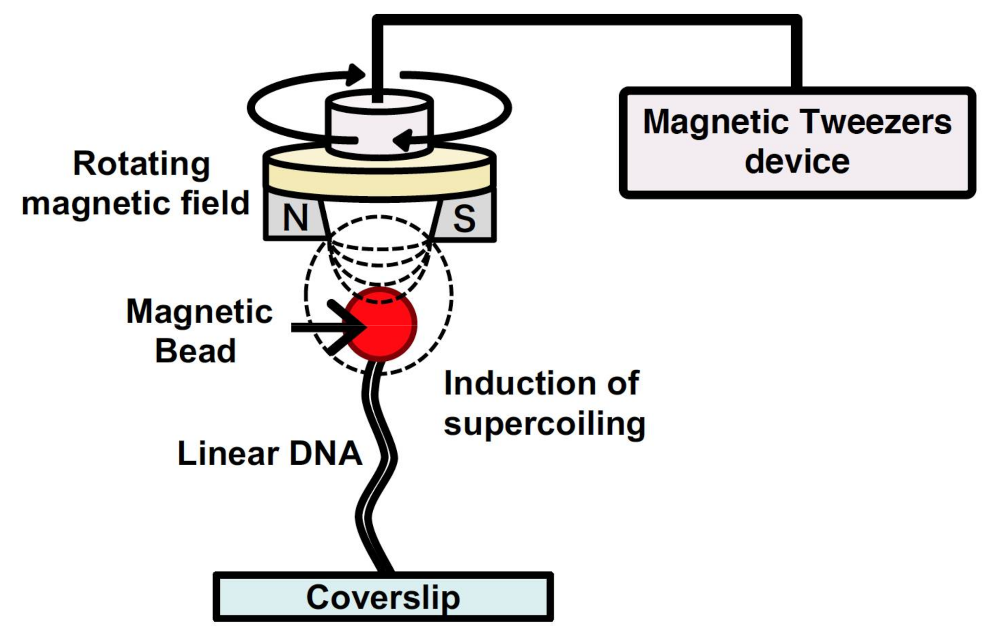 Molecules 26 01050 g006 Molecules 26 01050 g006