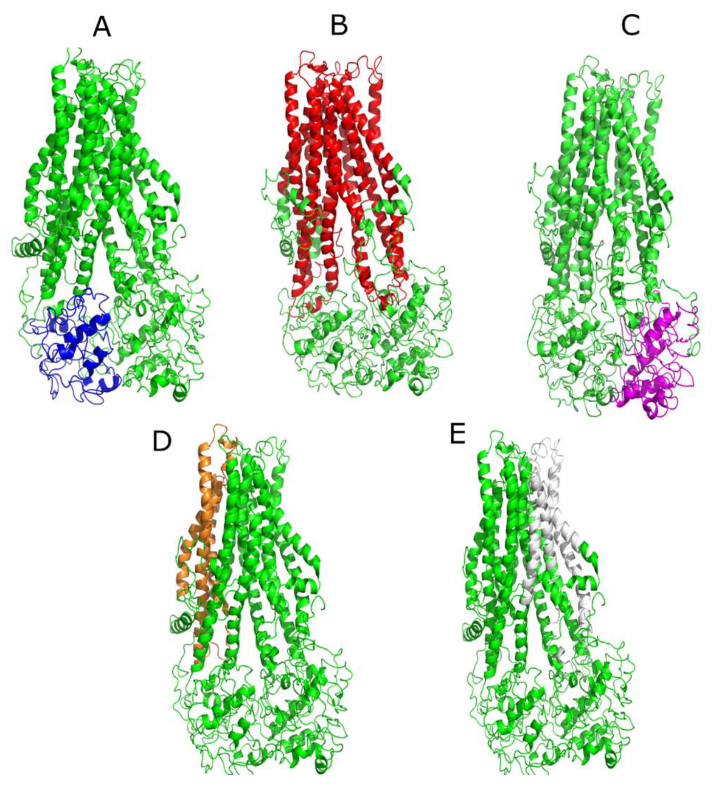 Molecules 26 01051 g003 Molecules 26 01051 g003