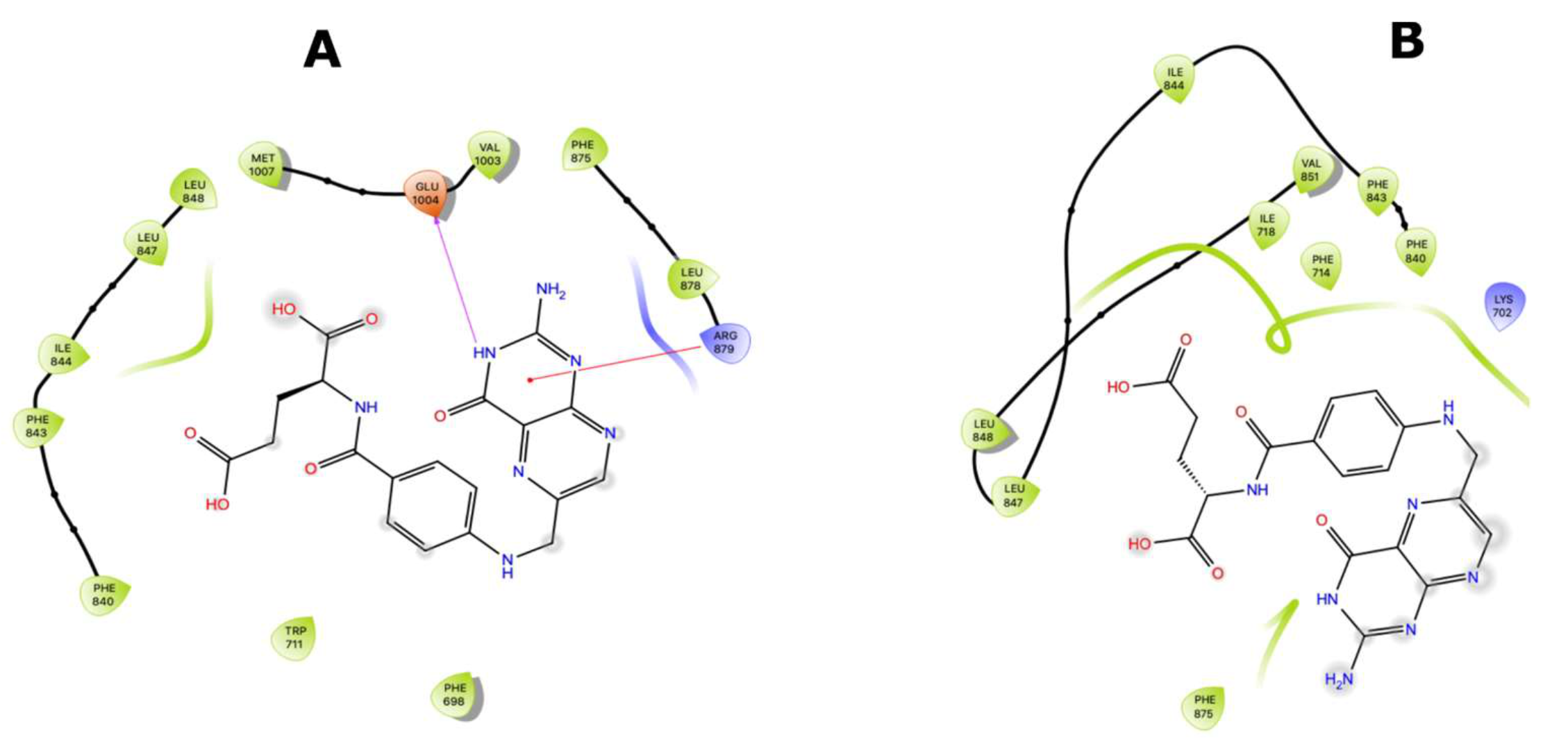 Molecules 26 01051 g009 Molecules 26 01051 g009