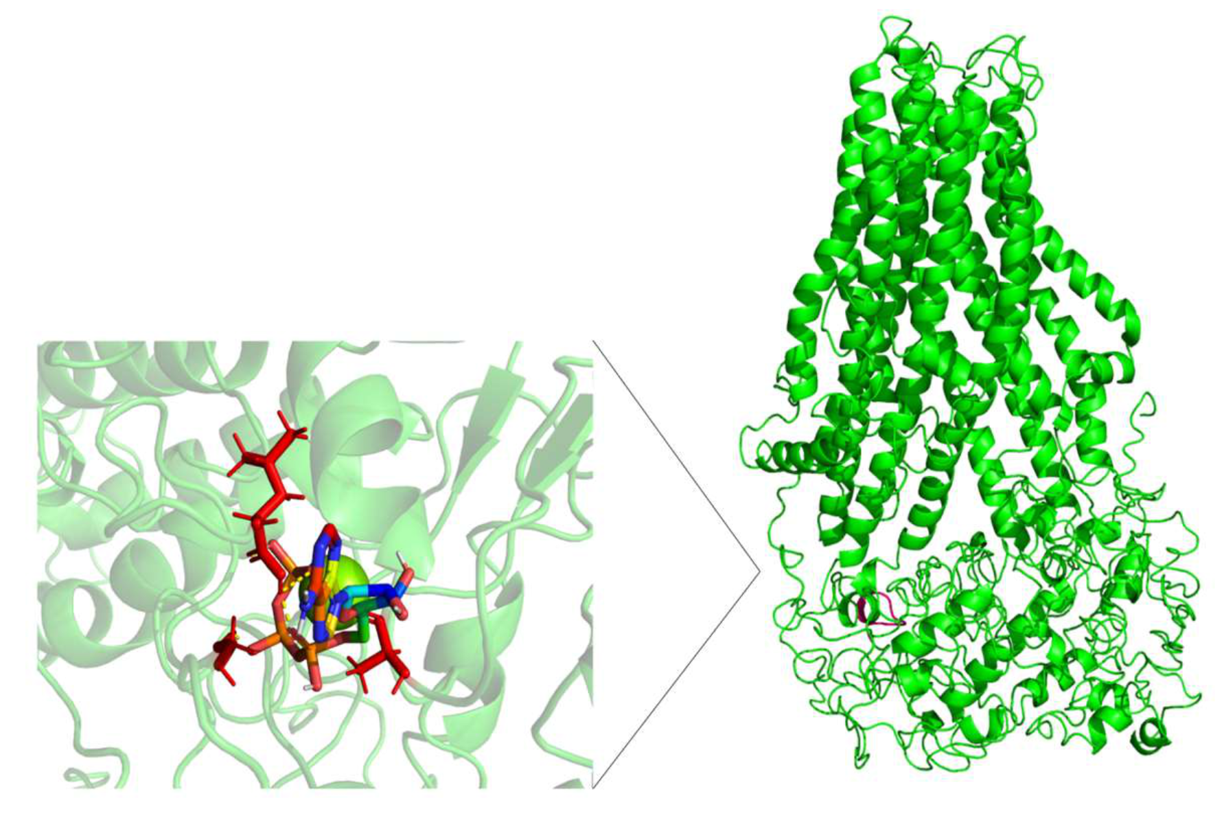 Molecules 26 01051 g011 Molecules 26 01051 g011