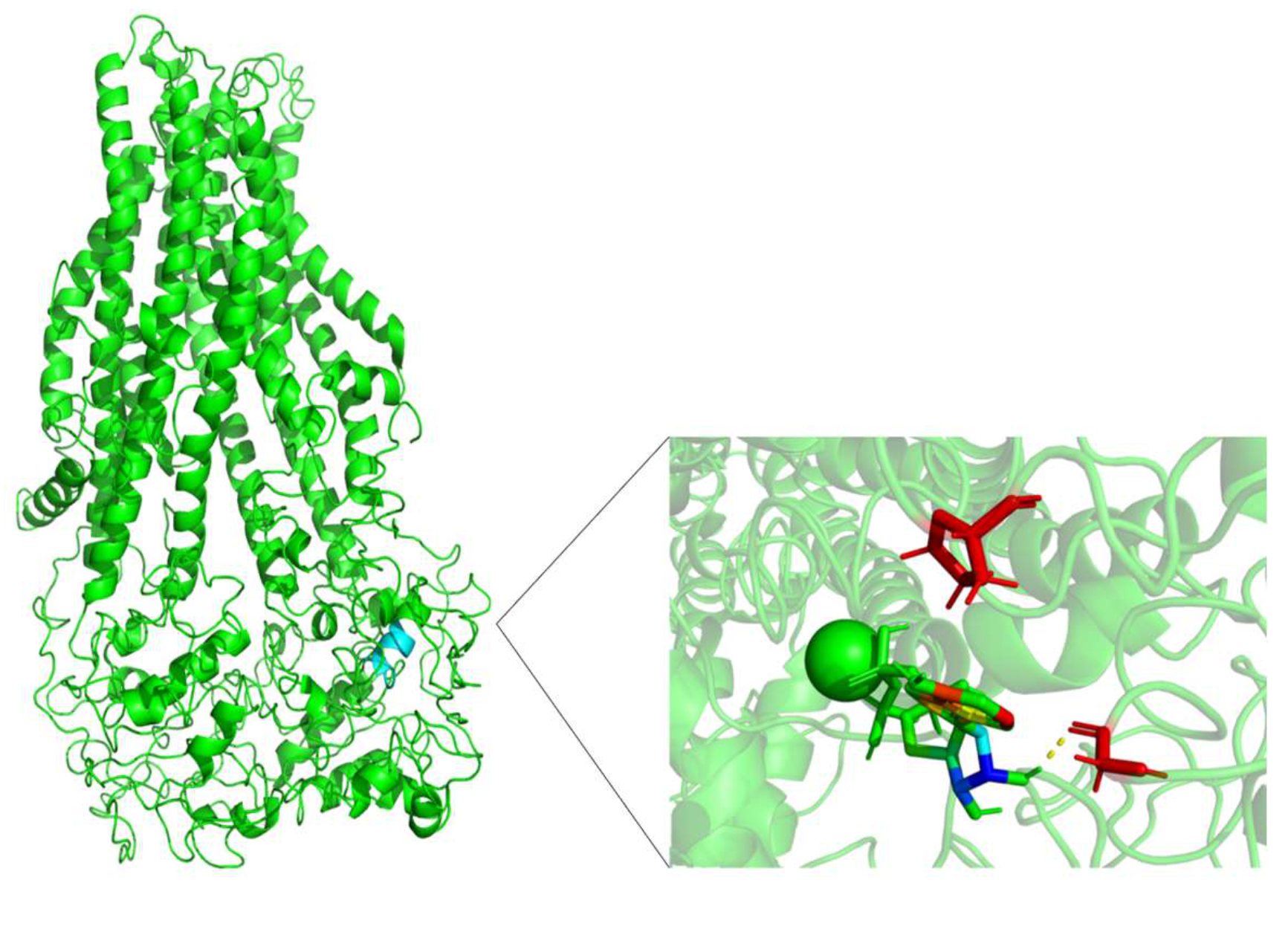 Molecules 26 01051 g012 Molecules 26 01051 g012