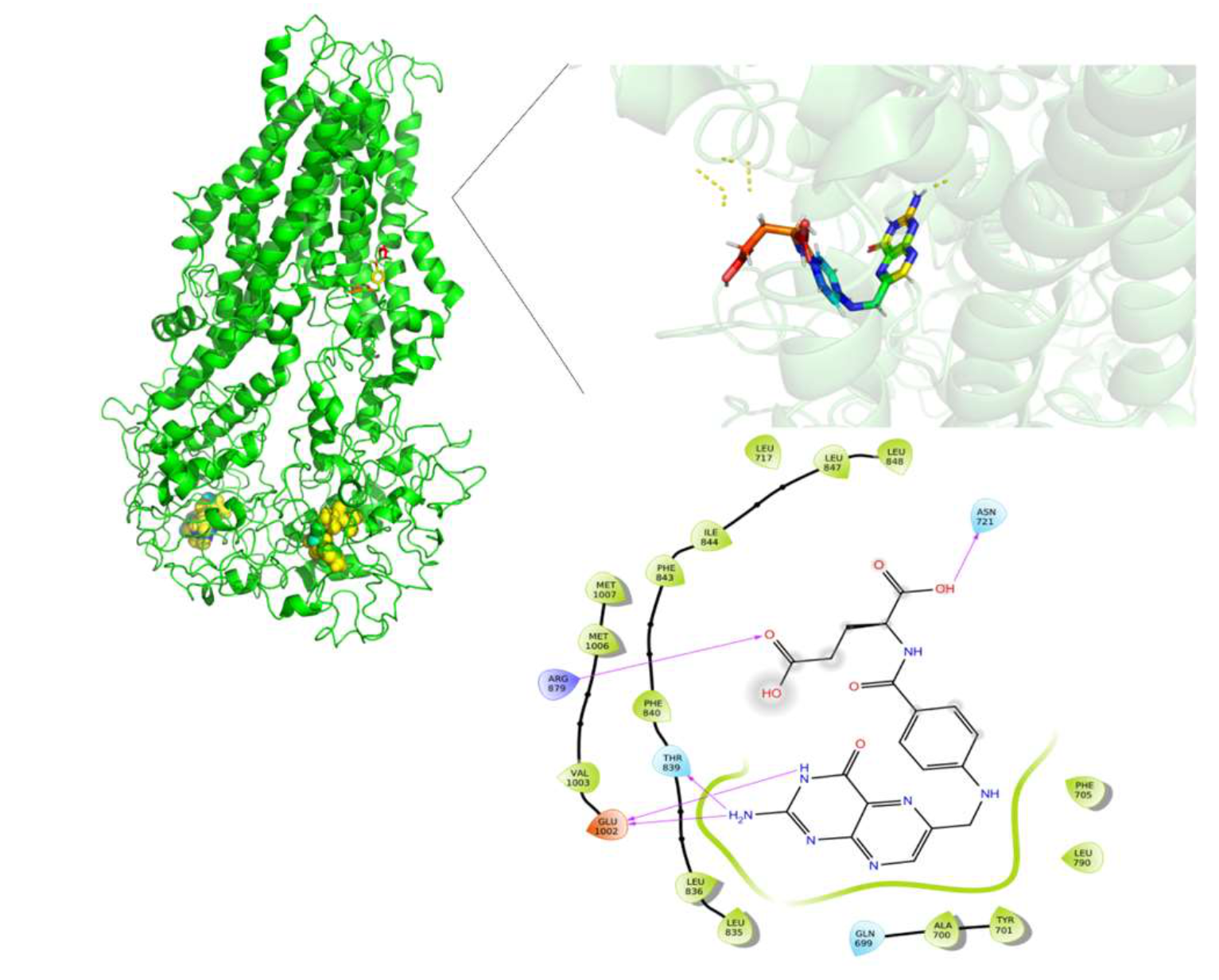 Molecules 26 01051 g013 Molecules 26 01051 g013