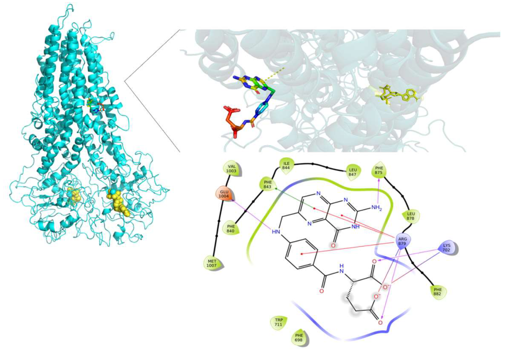 Molecules 26 01051 g014 Molecules 26 01051 g014