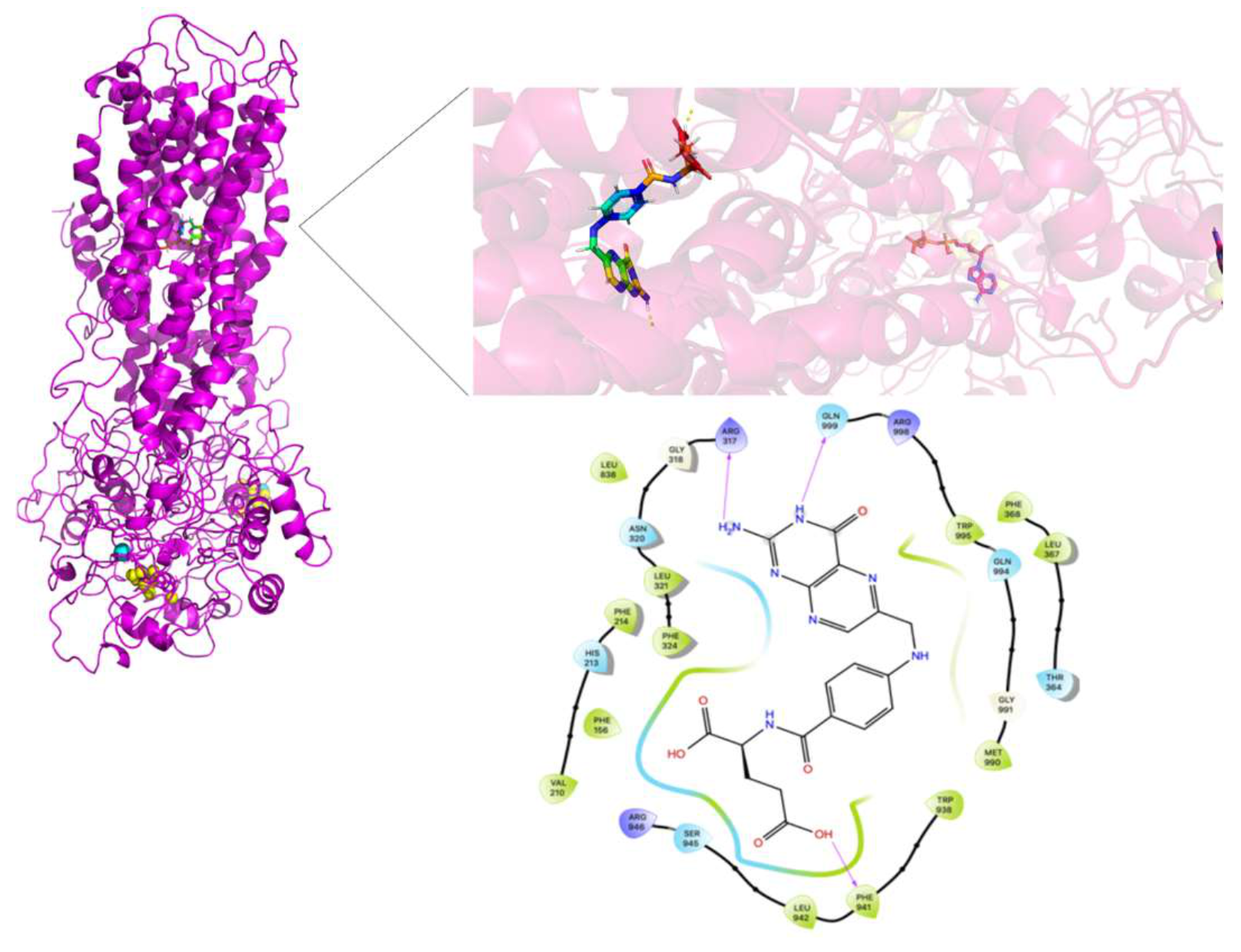 Molecules 26 01051 g015 Molecules 26 01051 g015