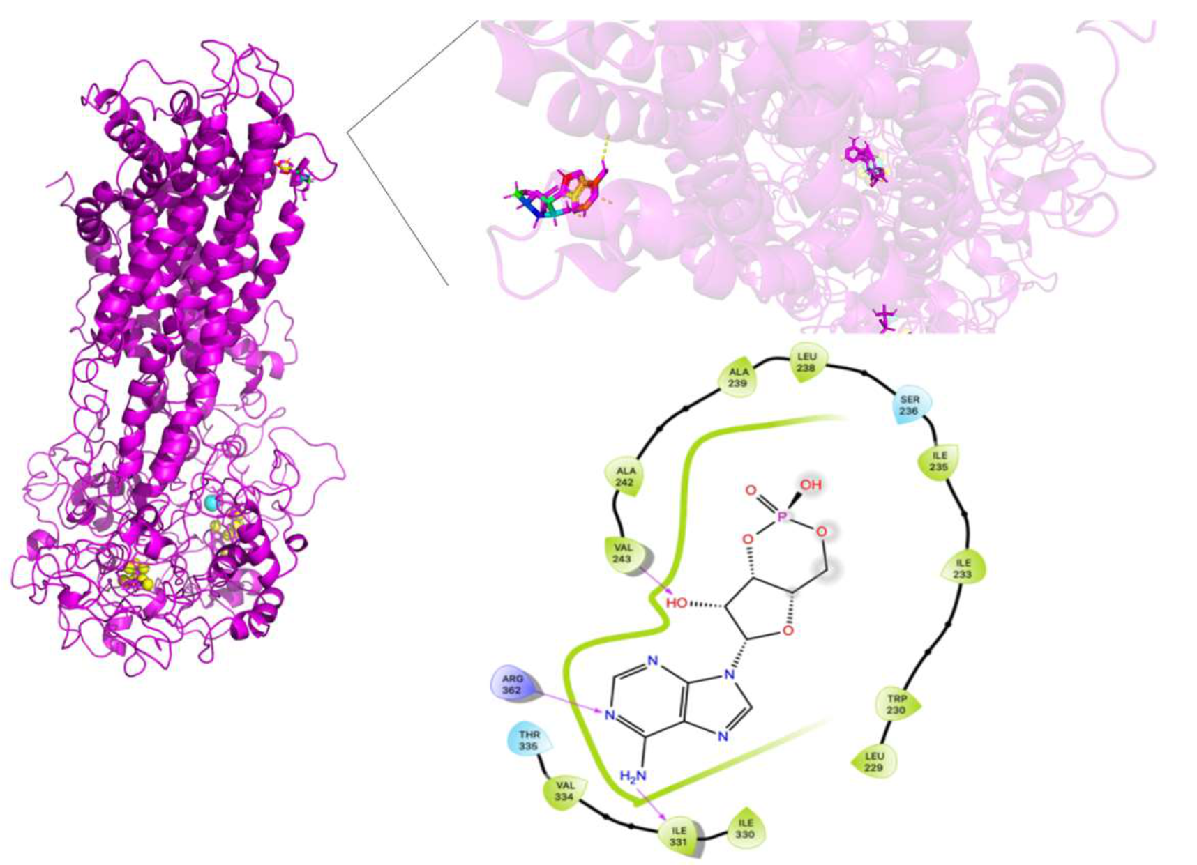 Molecules 26 01051 g016 Molecules 26 01051 g016