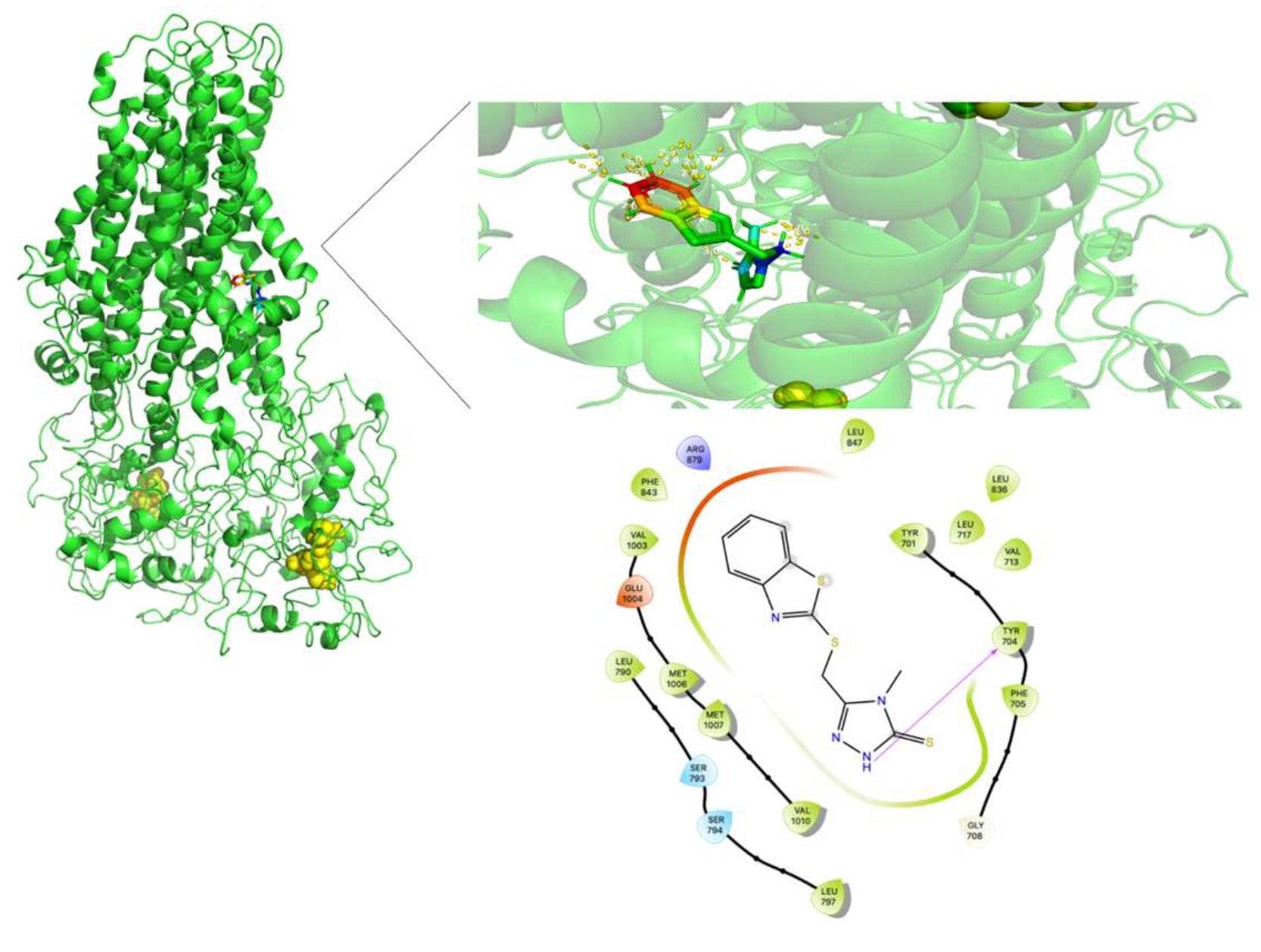 Molecules 26 01051 g017 Molecules 26 01051 g017