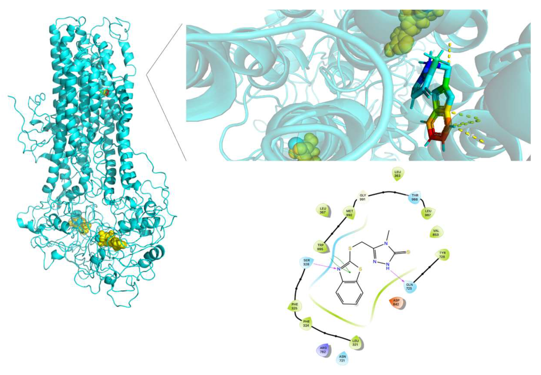Molecules 26 01051 g018 Molecules 26 01051 g018