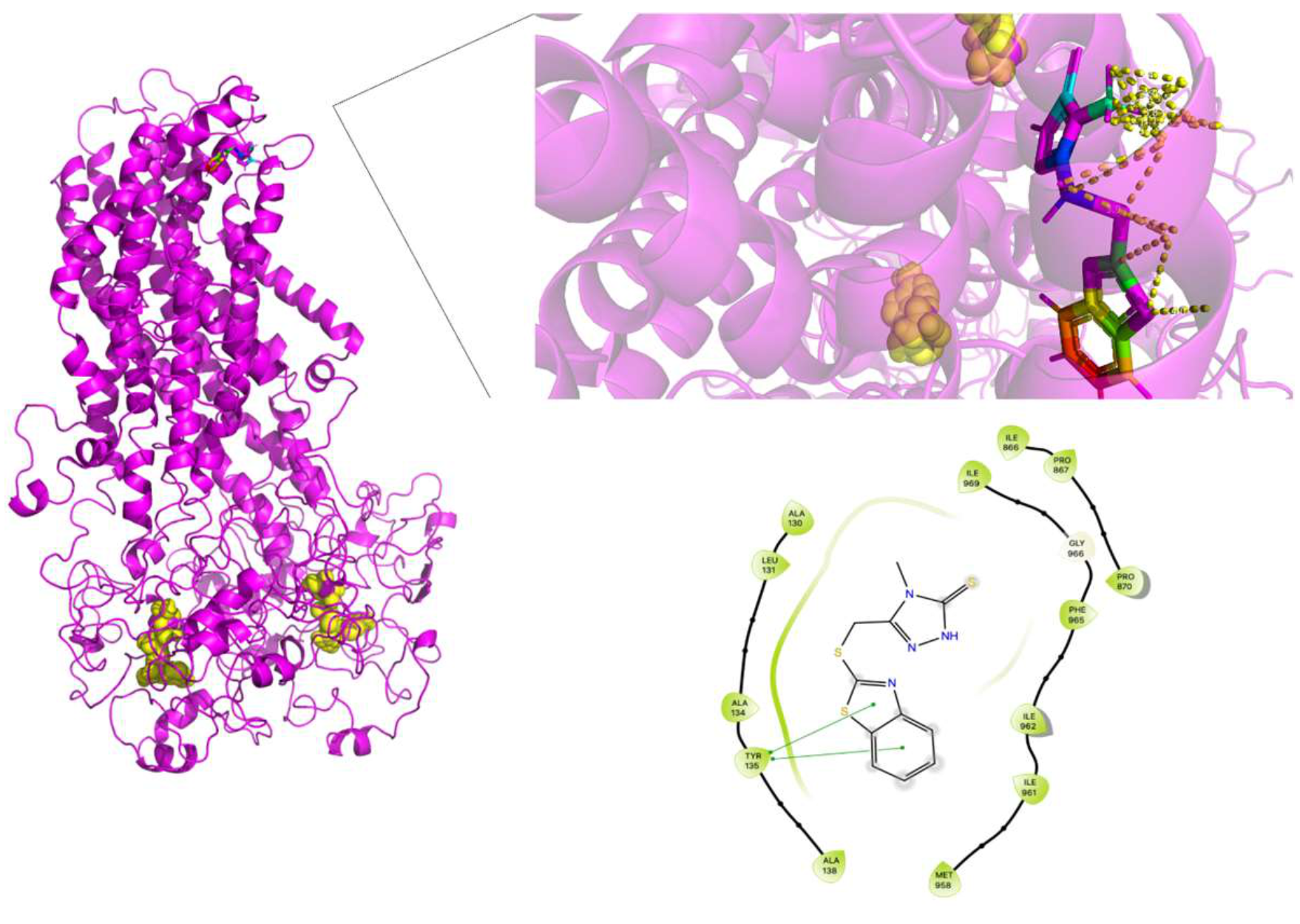 Molecules 26 01051 g019 Molecules 26 01051 g019