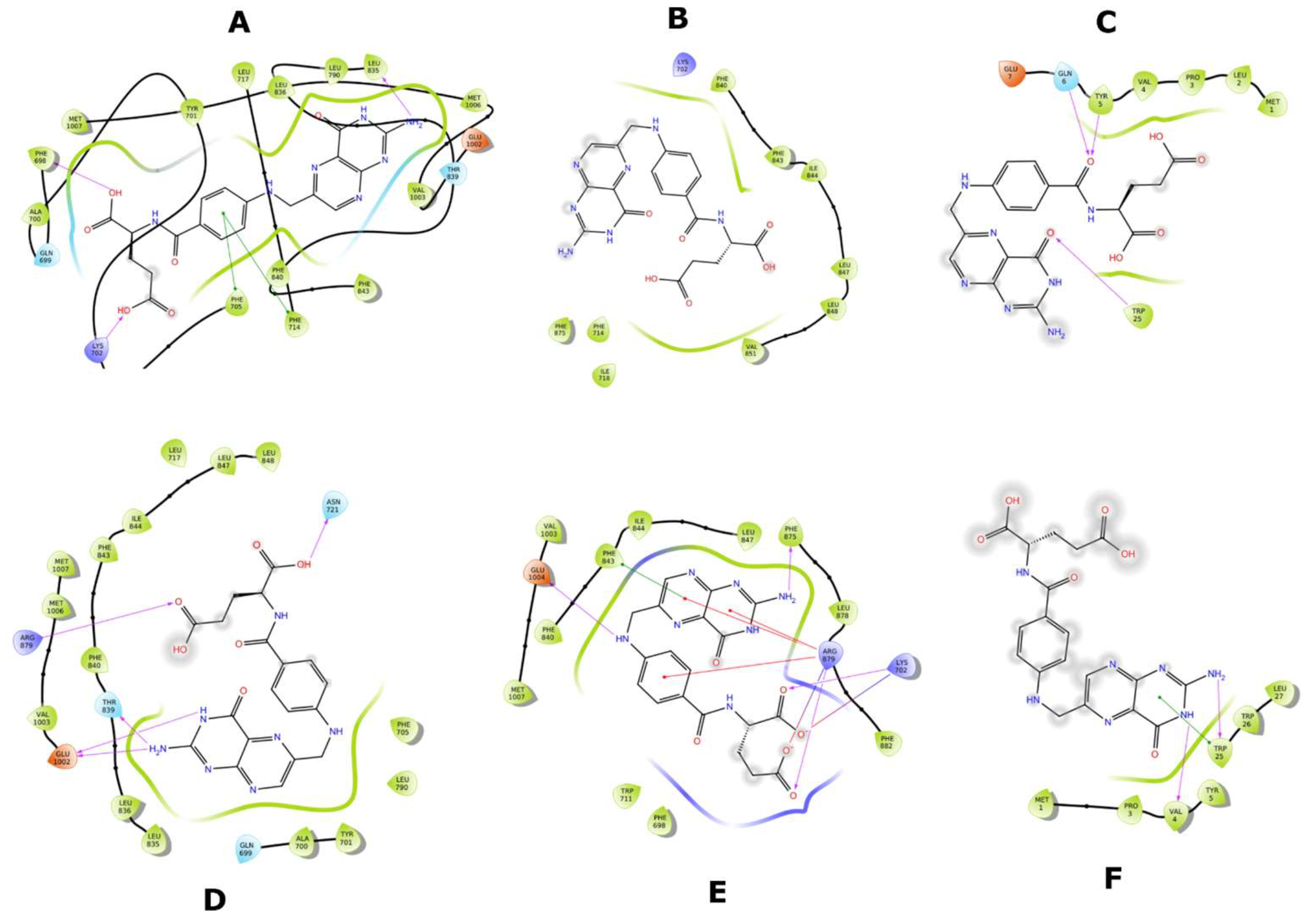 Molecules 26 01051 g020 Molecules 26 01051 g020