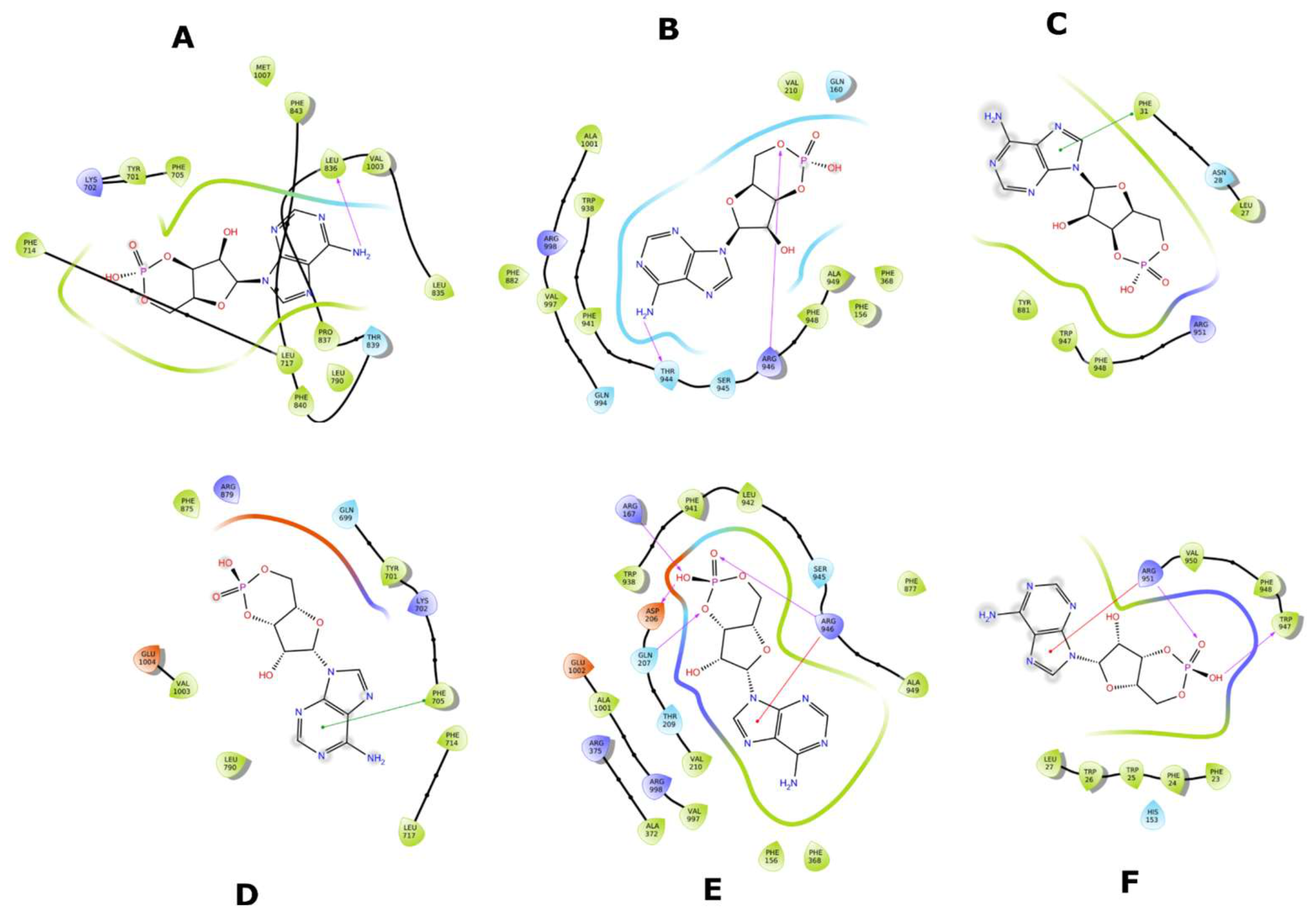 Molecules 26 01051 g021 Molecules 26 01051 g021