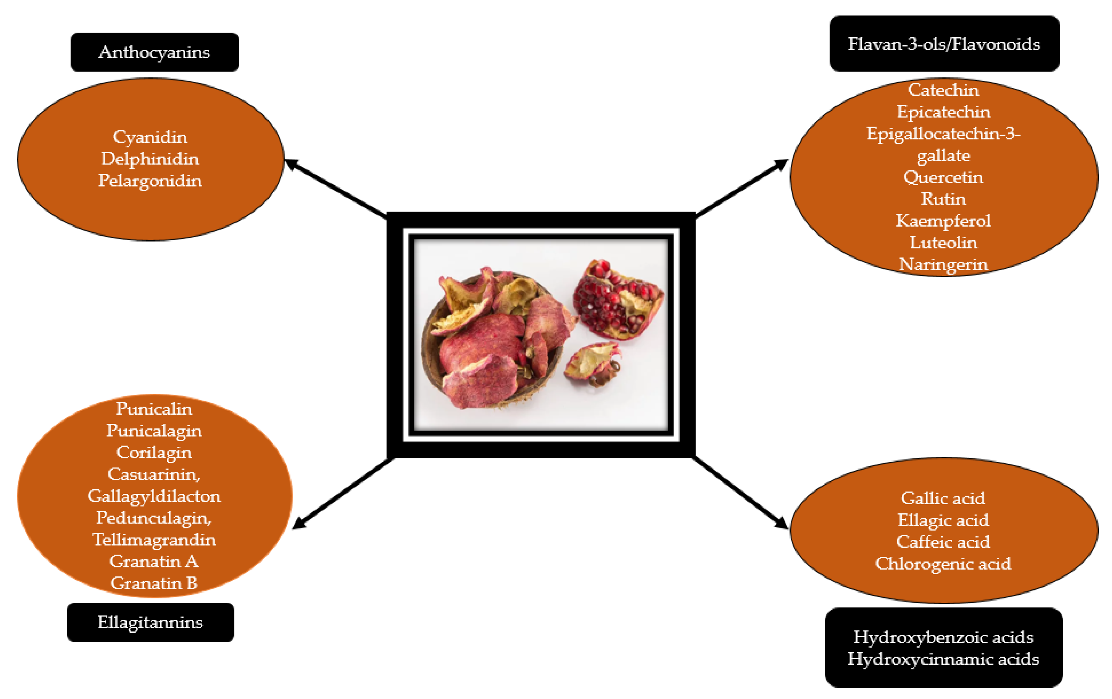 Molecules 26 01054 g002