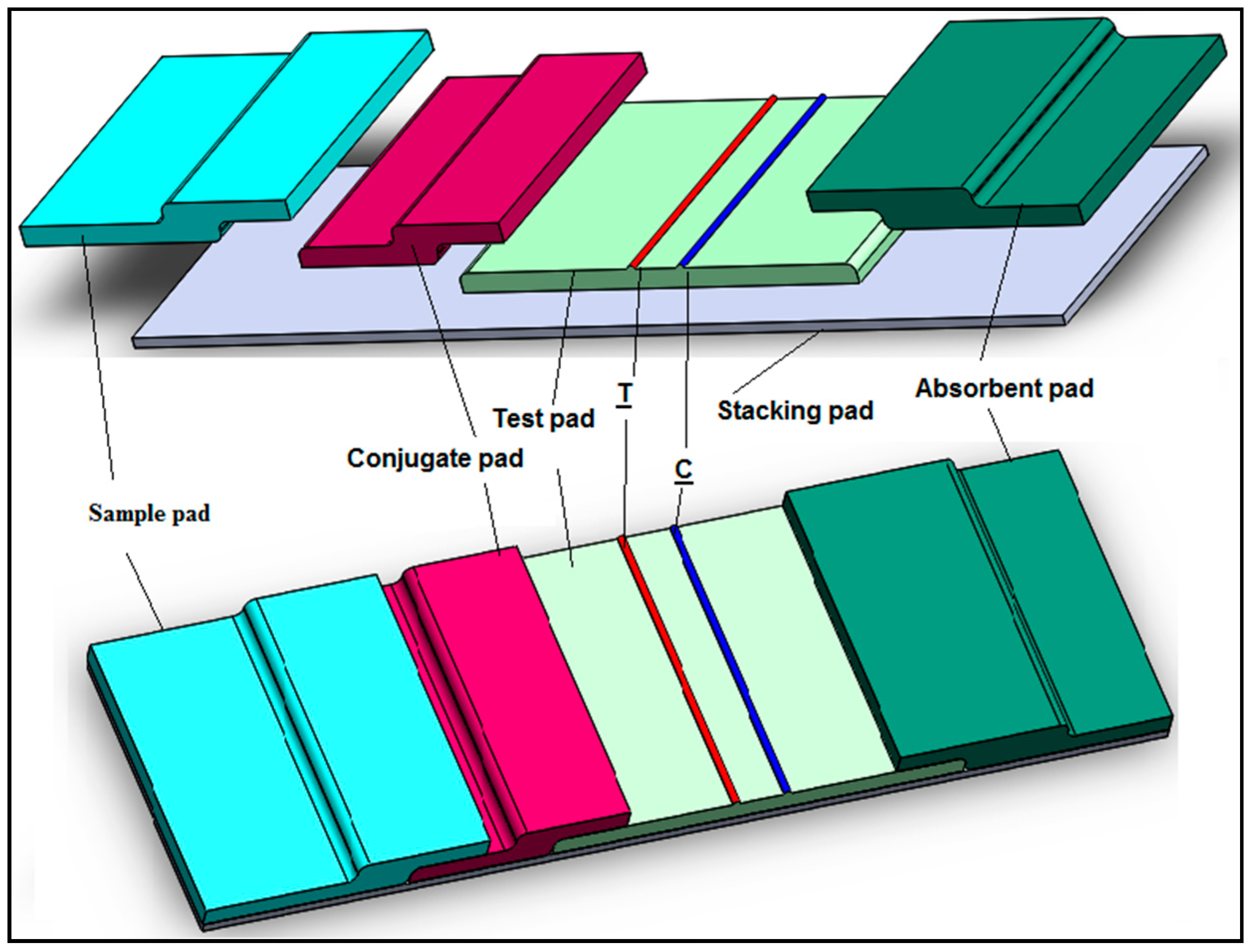Molecules 26 01058 g002