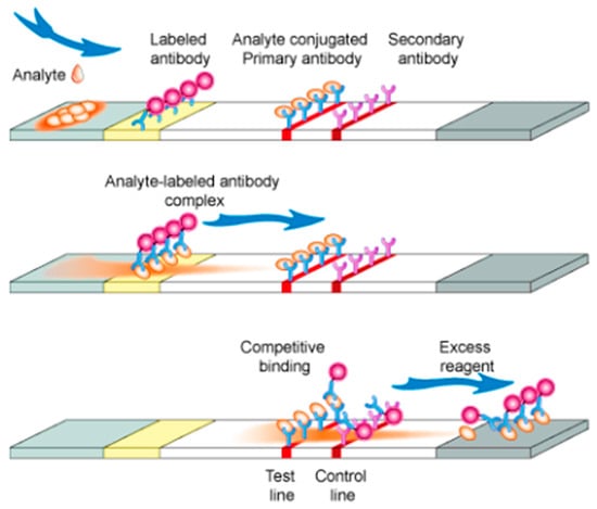 Molecules 26 01058 g004