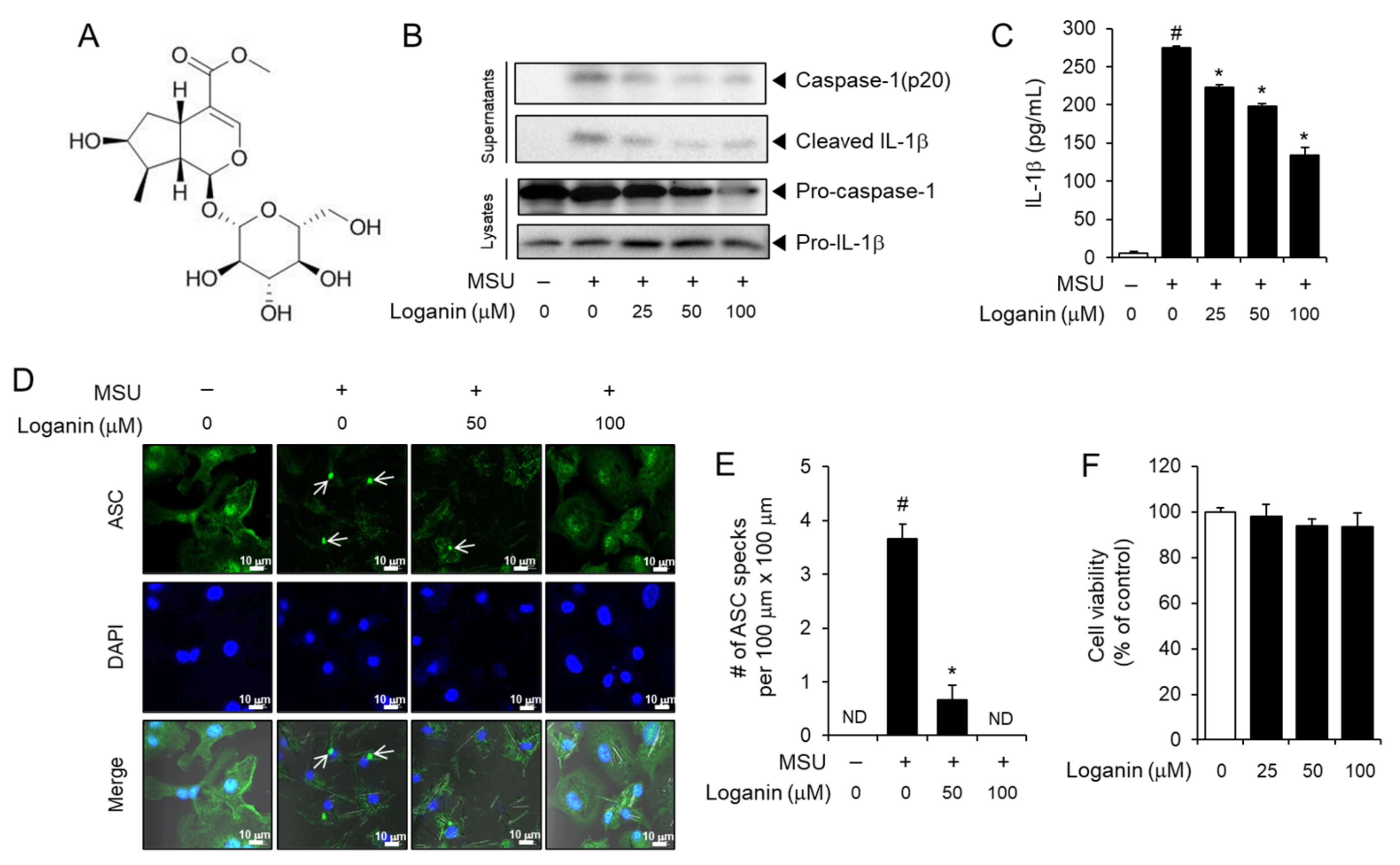 Molecules 26 01071 g001