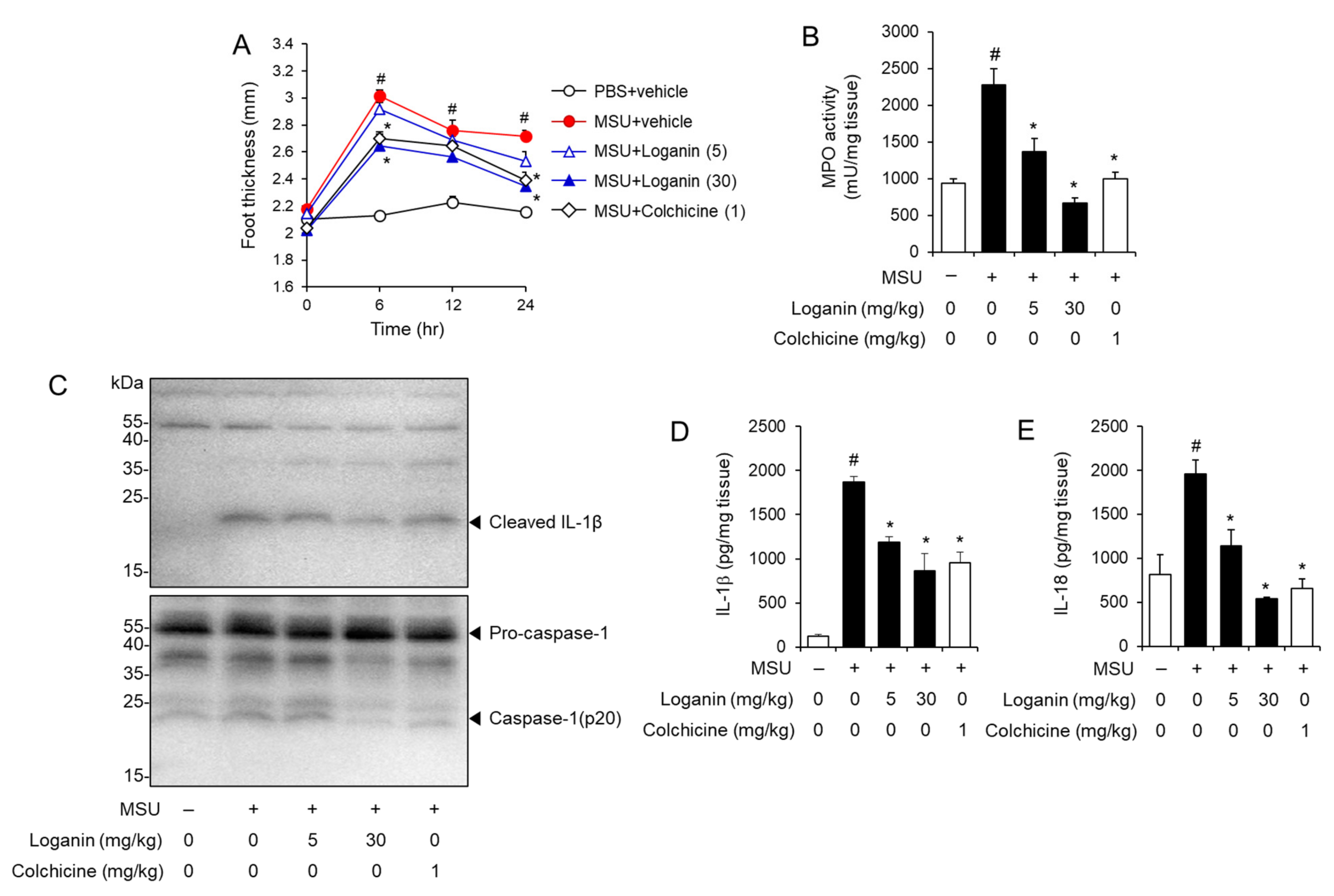 Molecules 26 01071 g003