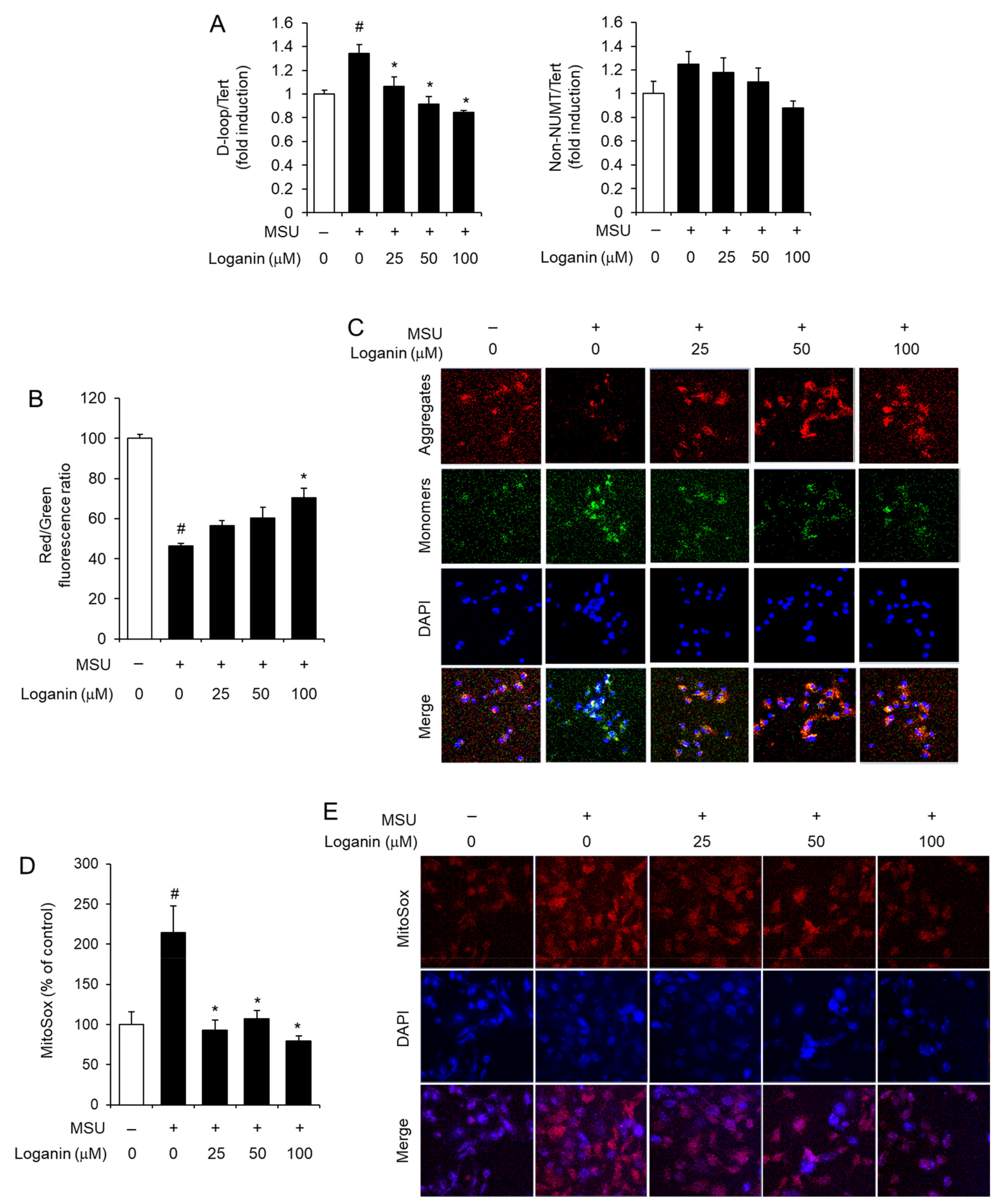 Molecules 26 01071 g005