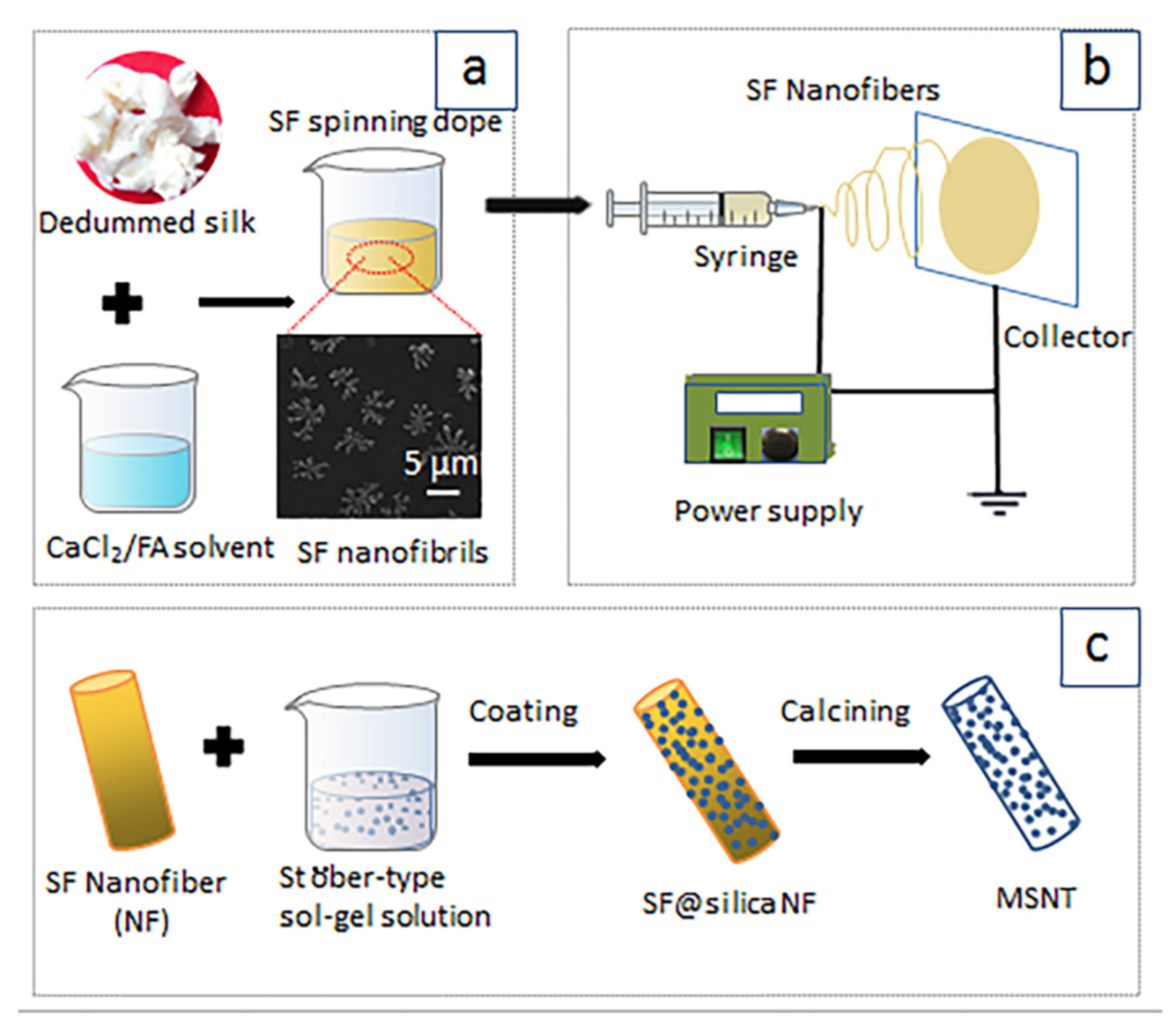 Molecules 26 01073 sch001