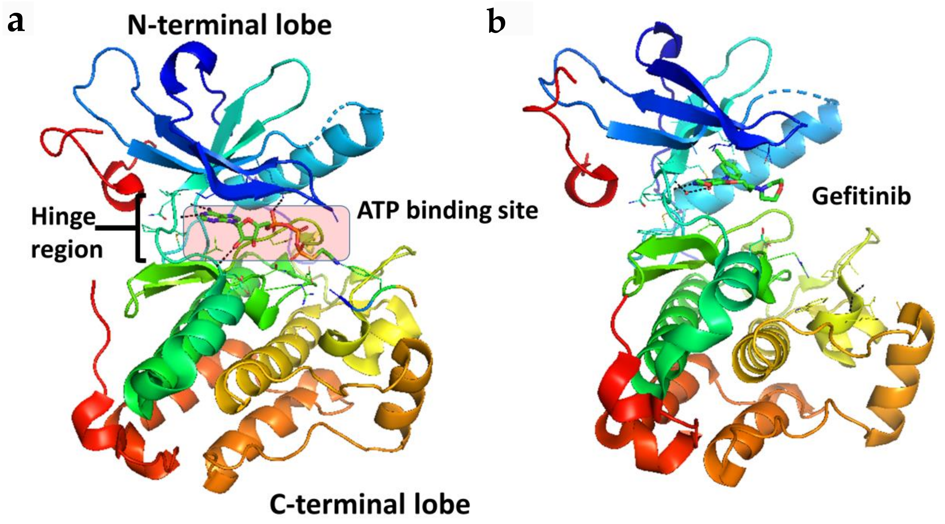 Molecules 26 01076 g002