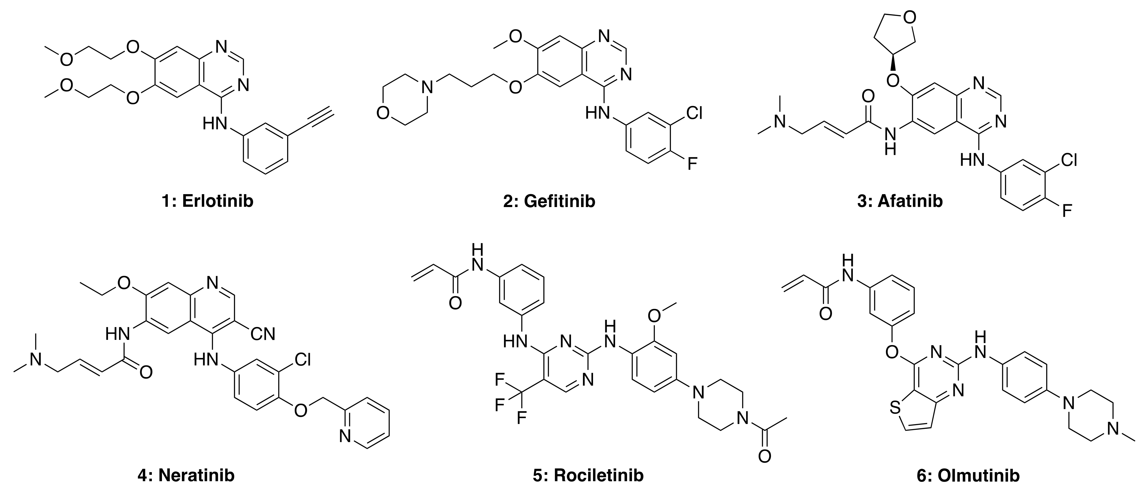 Molecules 26 01076 g004
